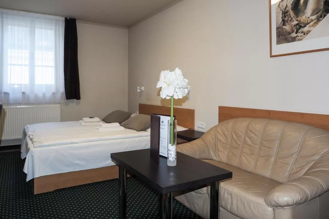 Bed in Hotel Vacek Pod Věží