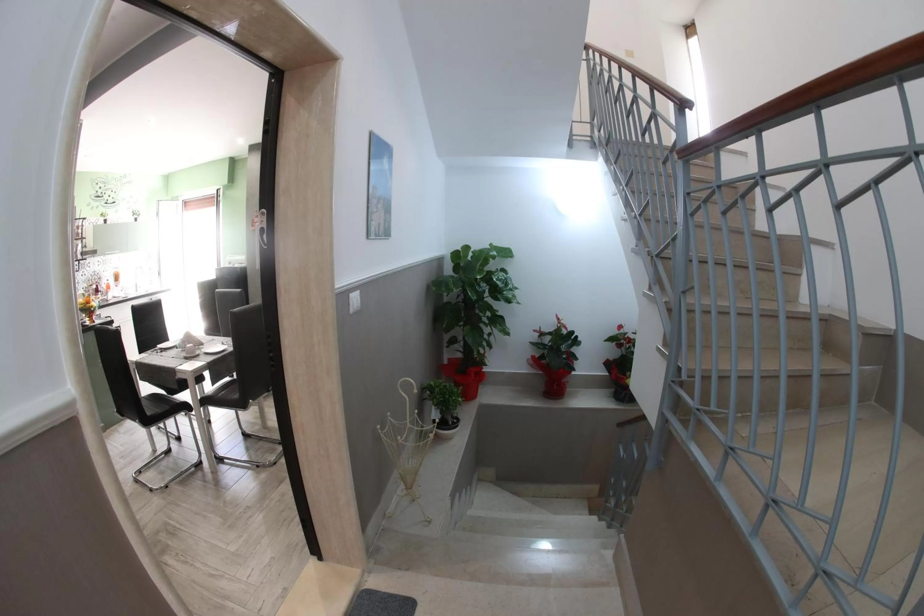 Other in La casa di Luce