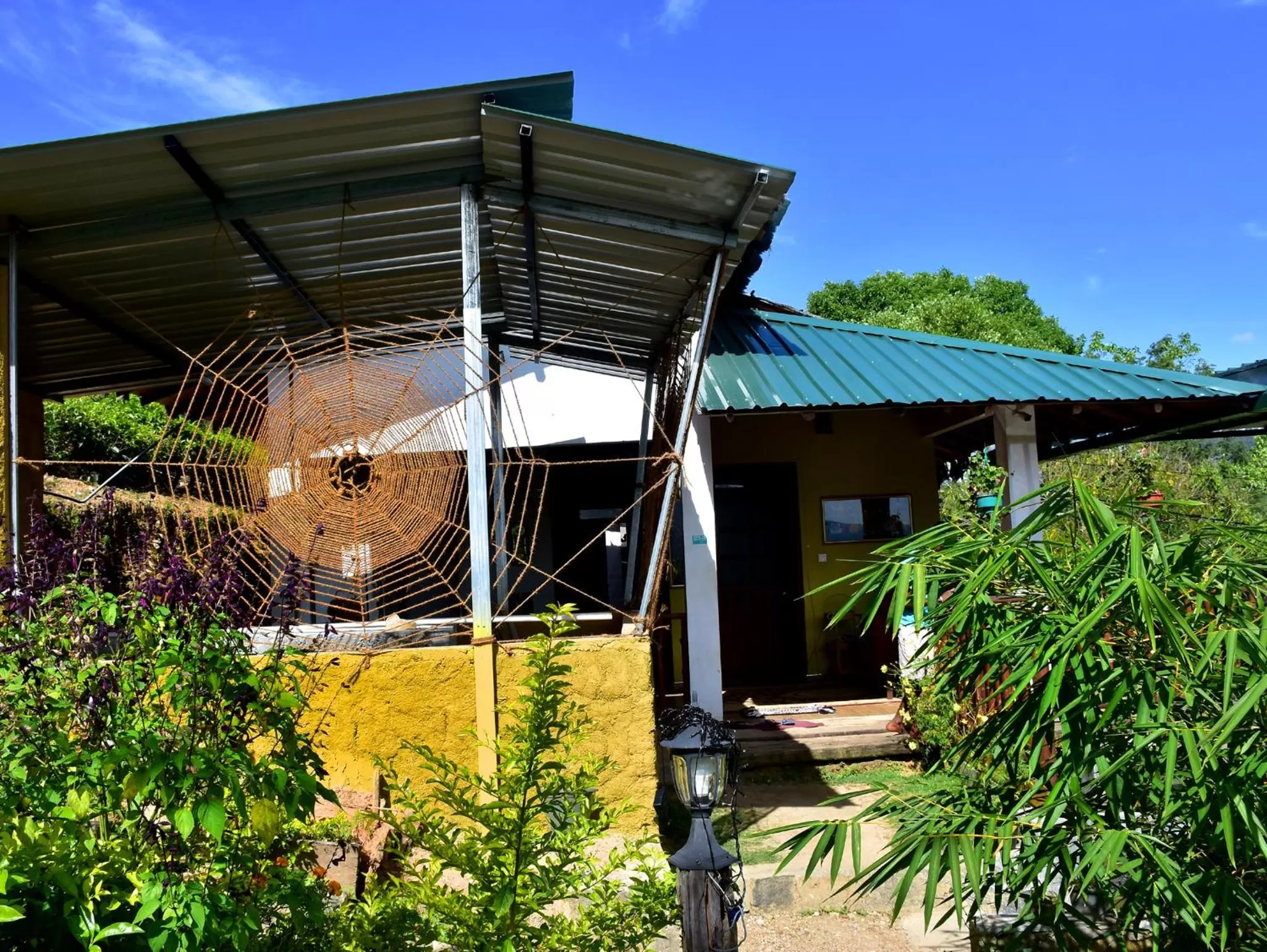 Property Building in Ornateview Hotel