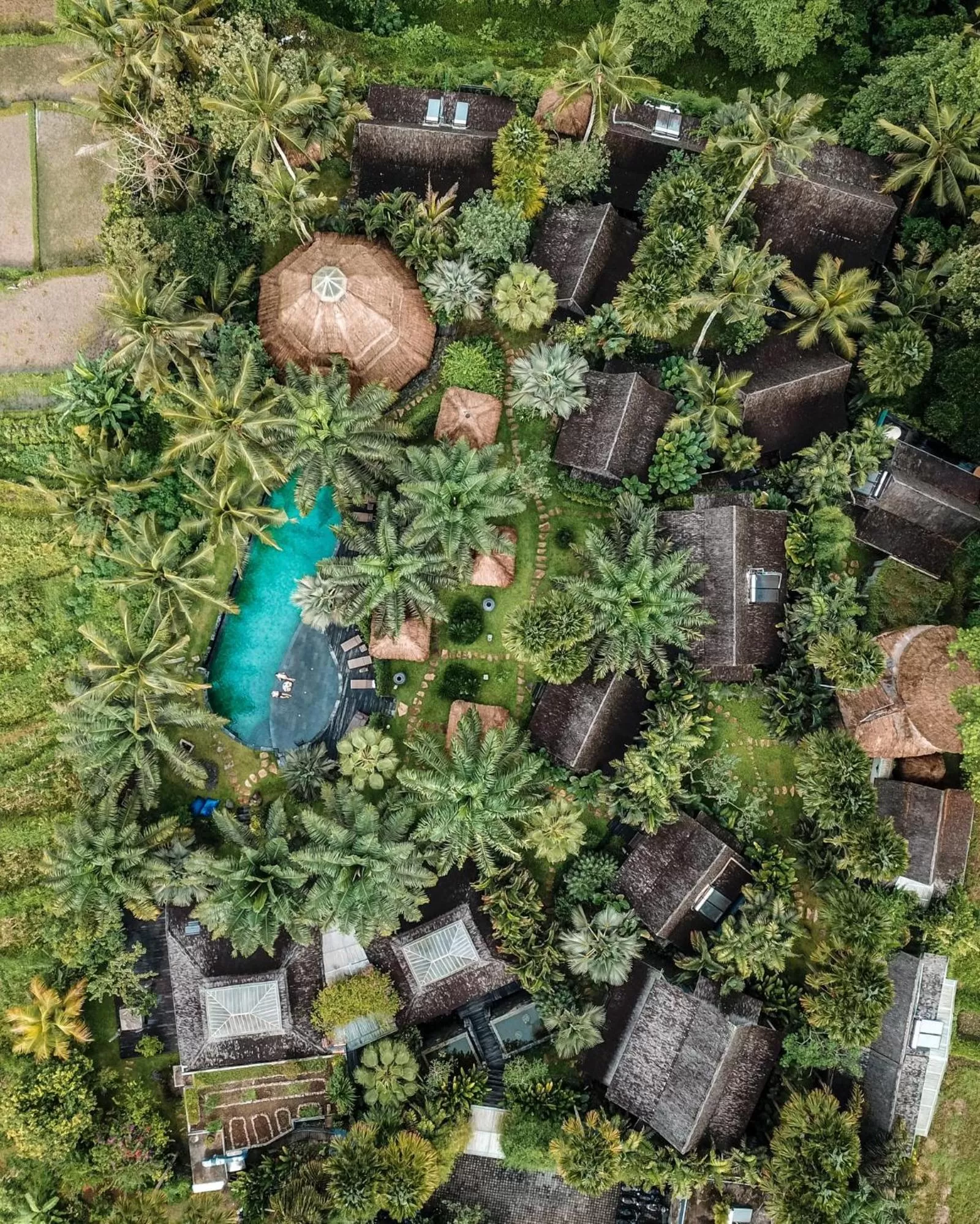 View (from property/room) in Blue Karma Dijiwa Ubud