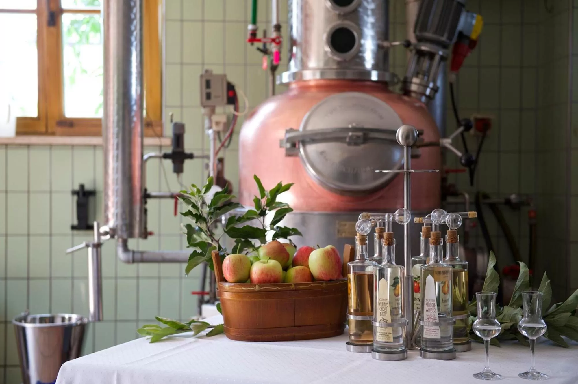 Evening entertainment in Ringhotel Krone