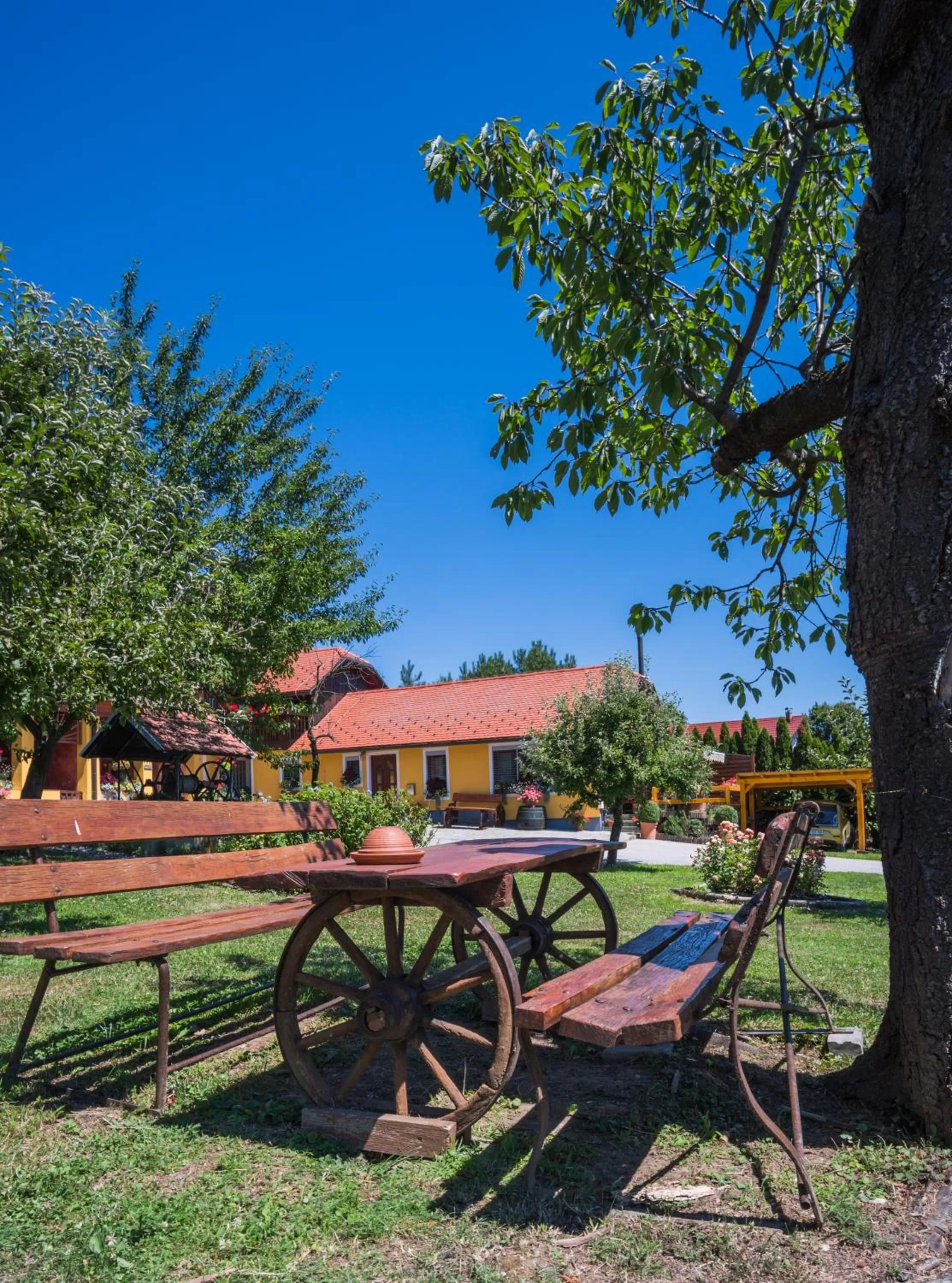 Activities in Panorama B&B