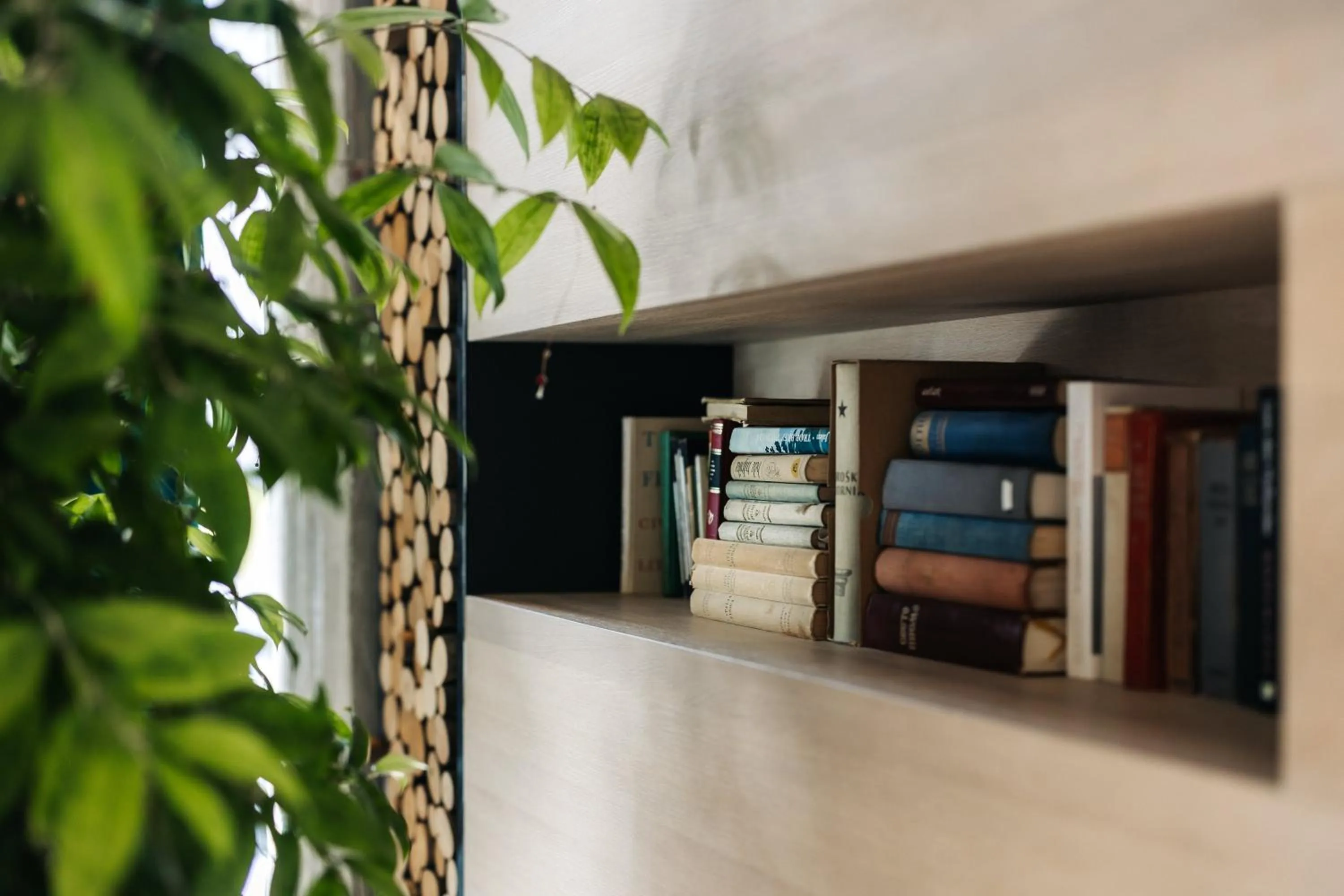 Library in Hotel Nox