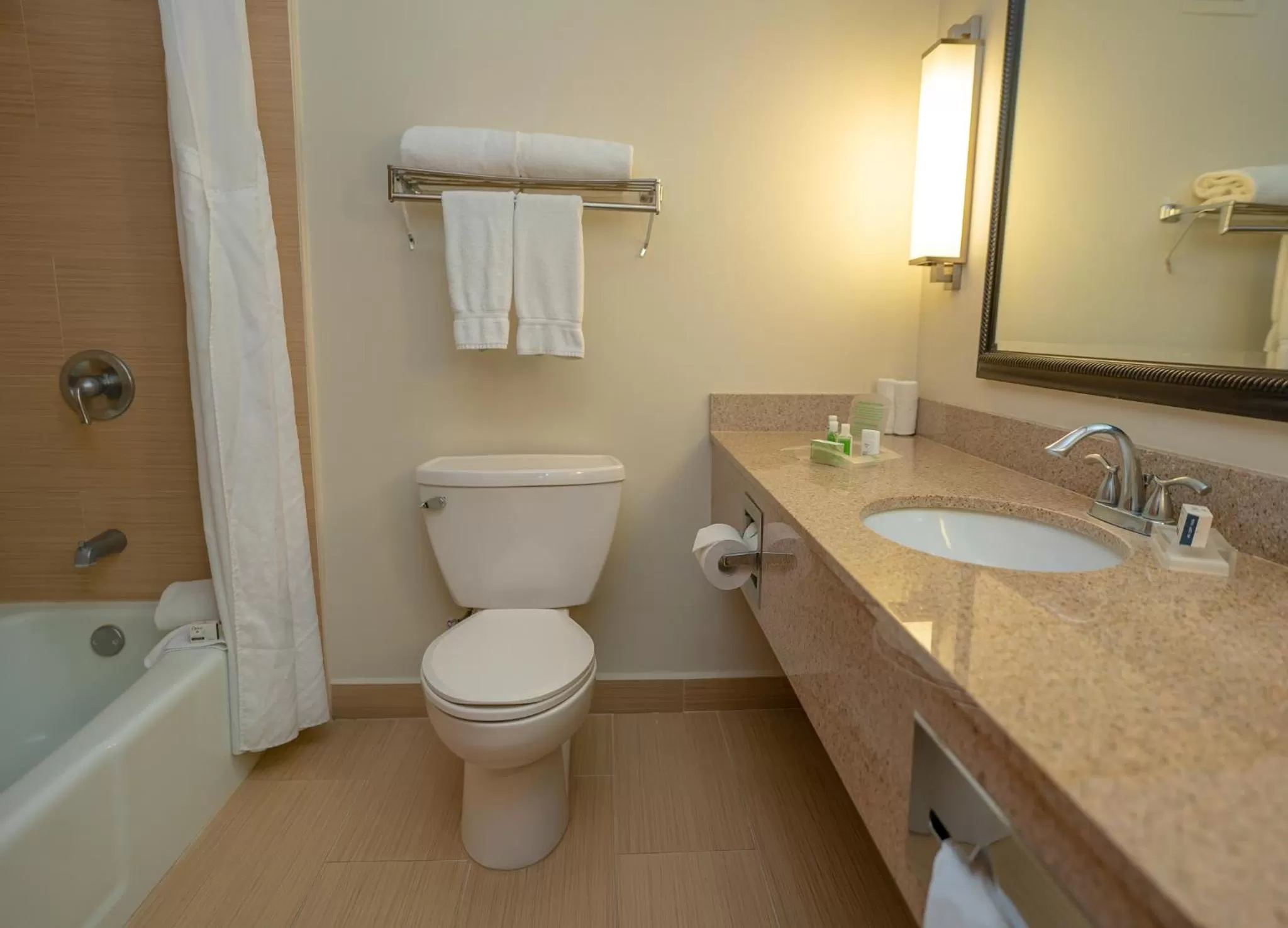 Toilet in Holiday Inn Mayaguez & Tropical Casino by IHG