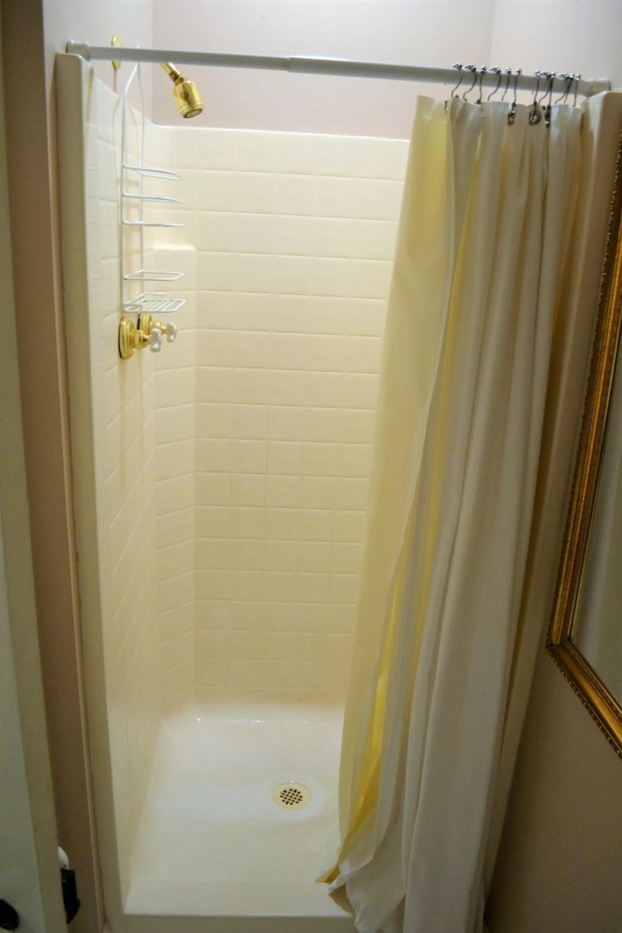 Shower, Bathroom in Edgar Degas House Historic Home and Museum