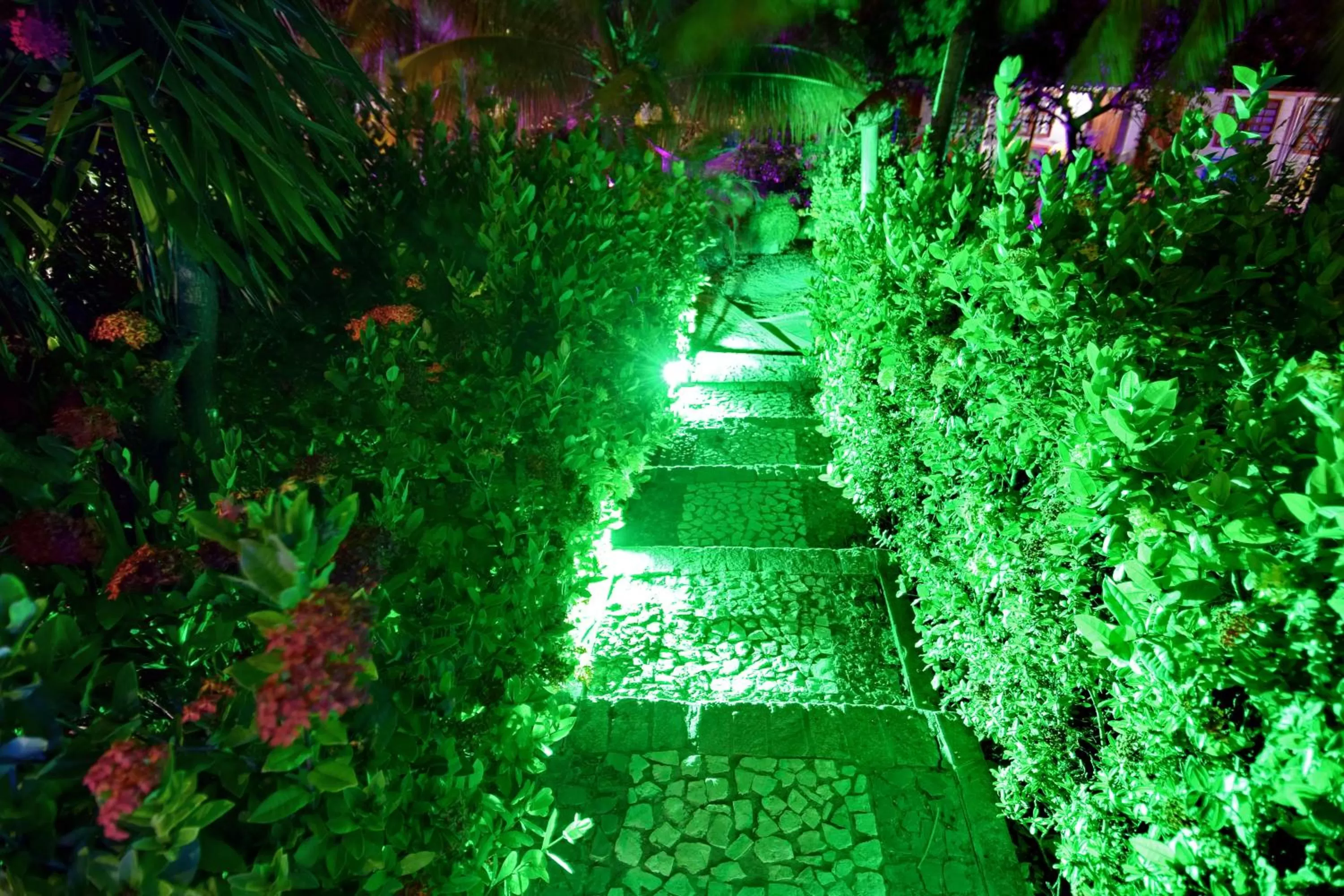 Swimming pool, Winter in Pousada Ipitanga IV