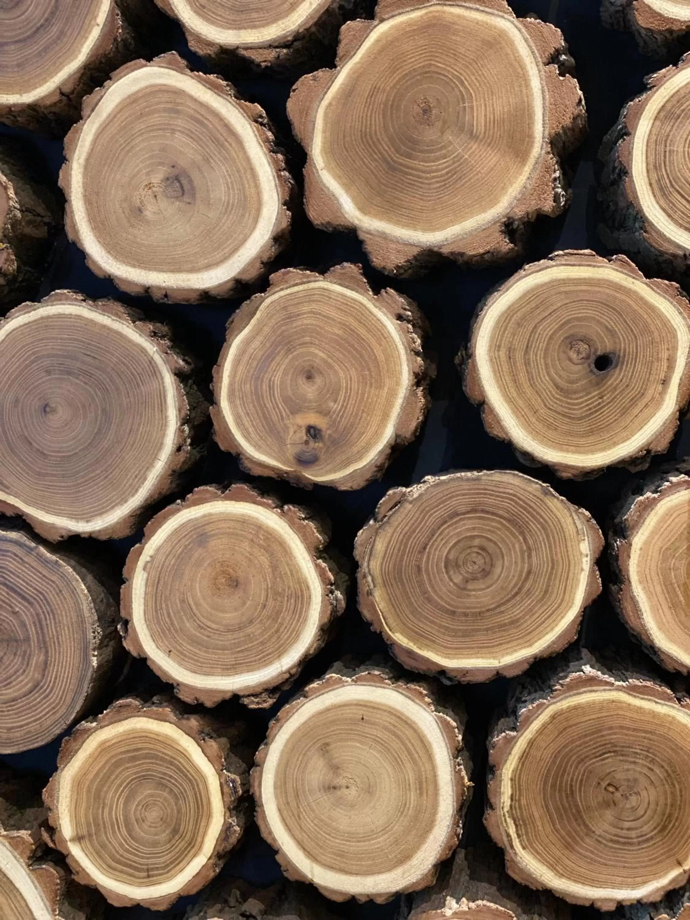 Decorative detail in A Fogadó