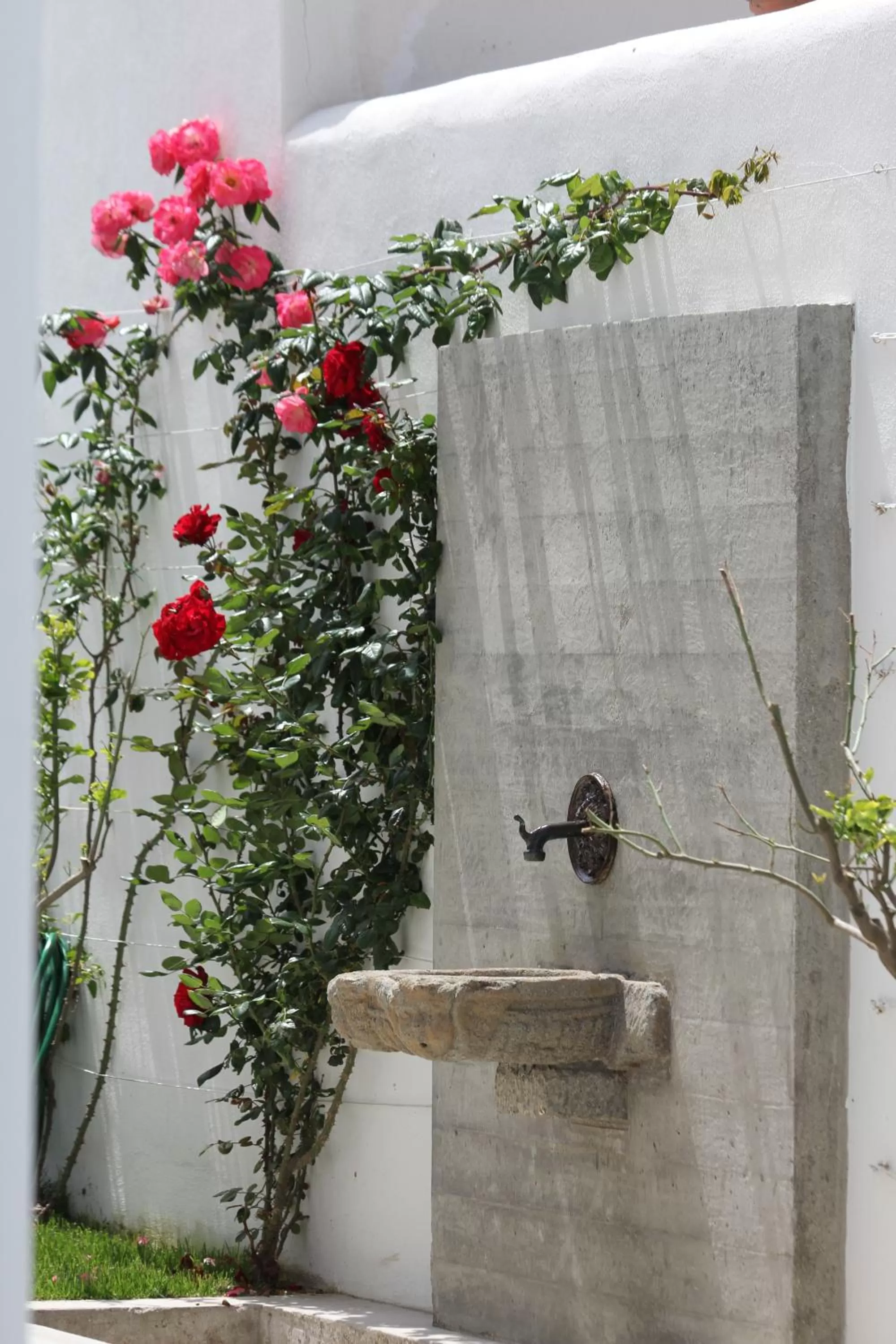 Decorative detail in Hotel Intorno Al Fico