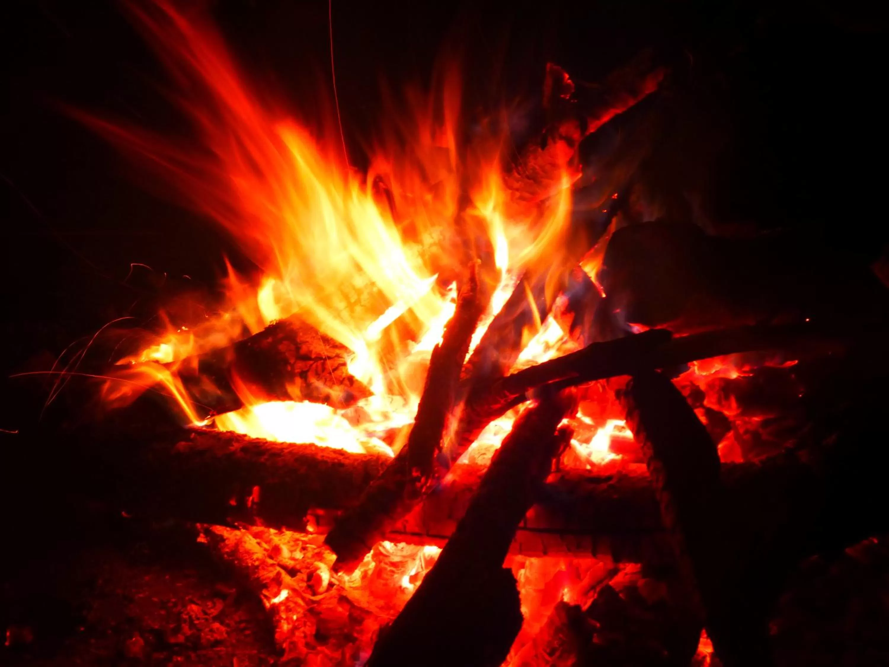 Garden in Finca El Cielo