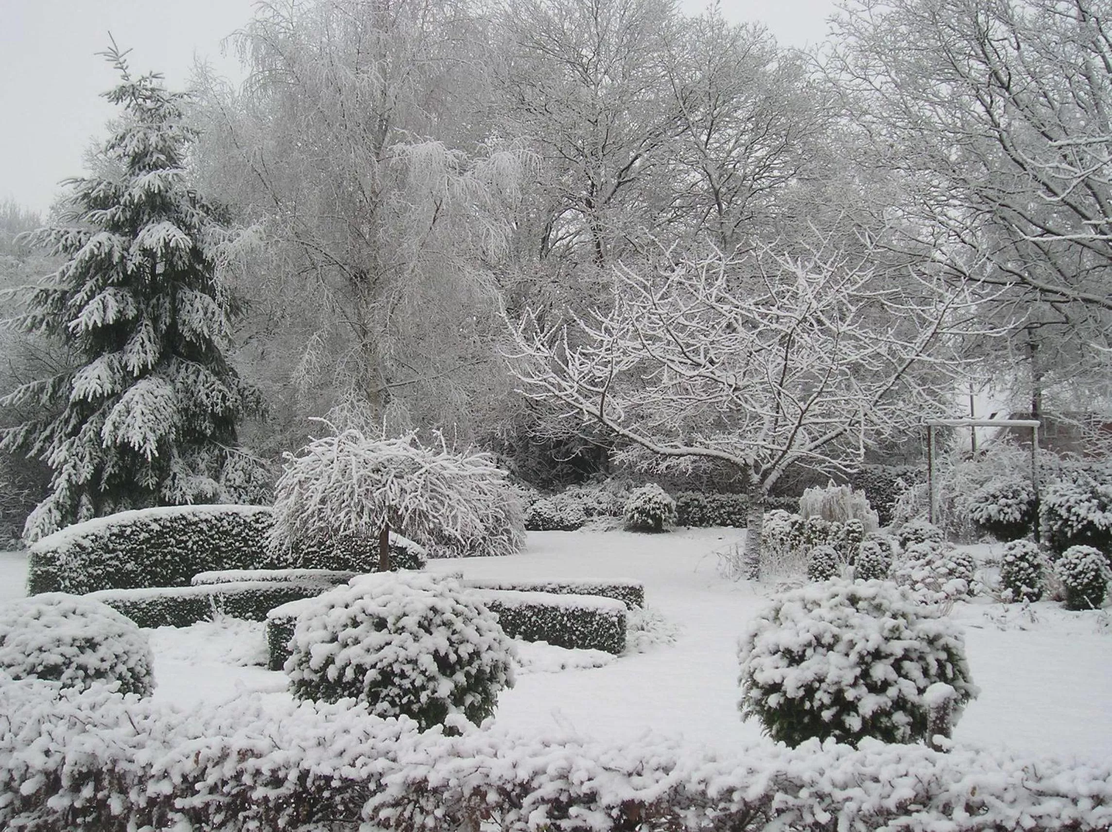Winter in 't Rond Bargie