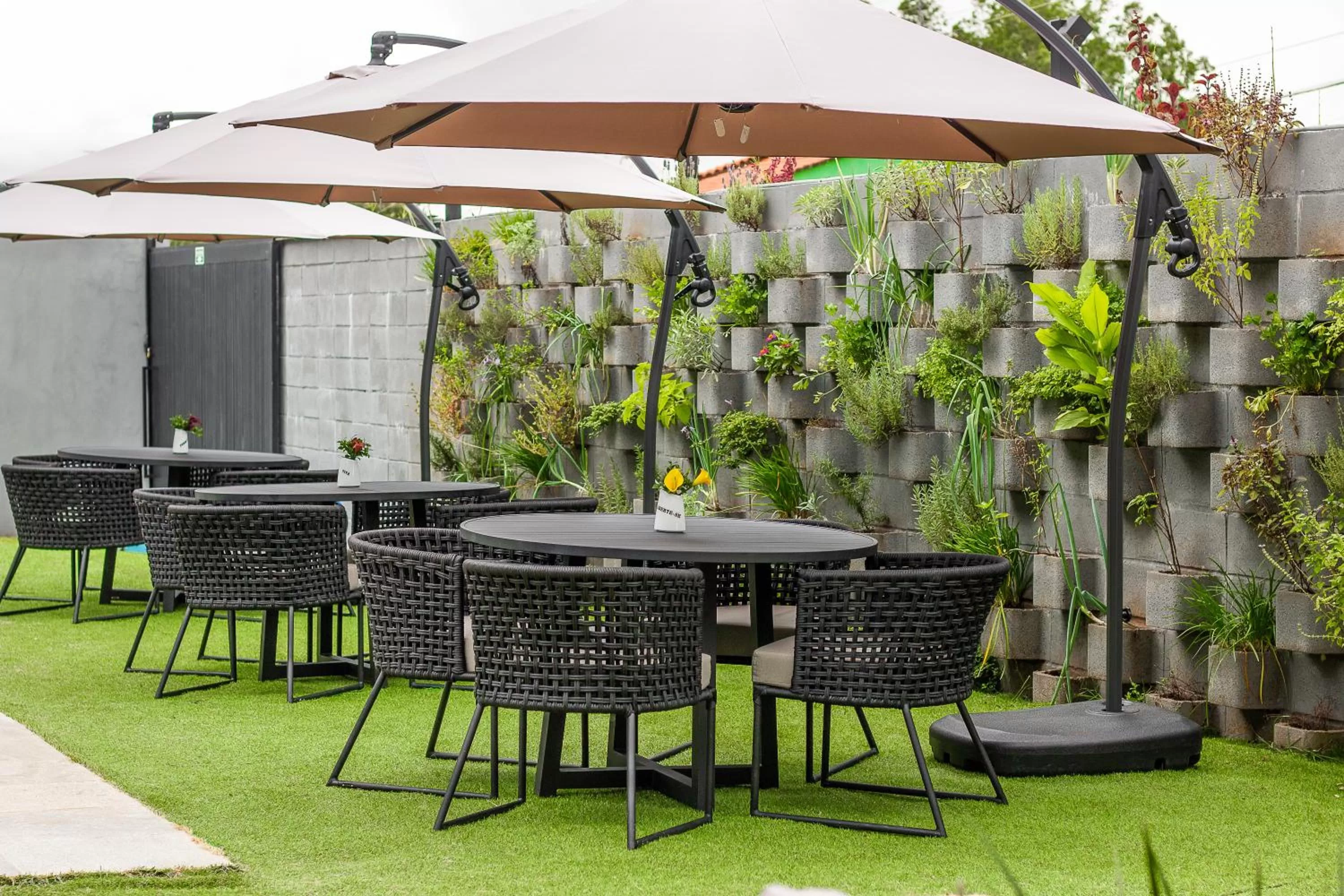 Garden in Pousada Flores do Carmo