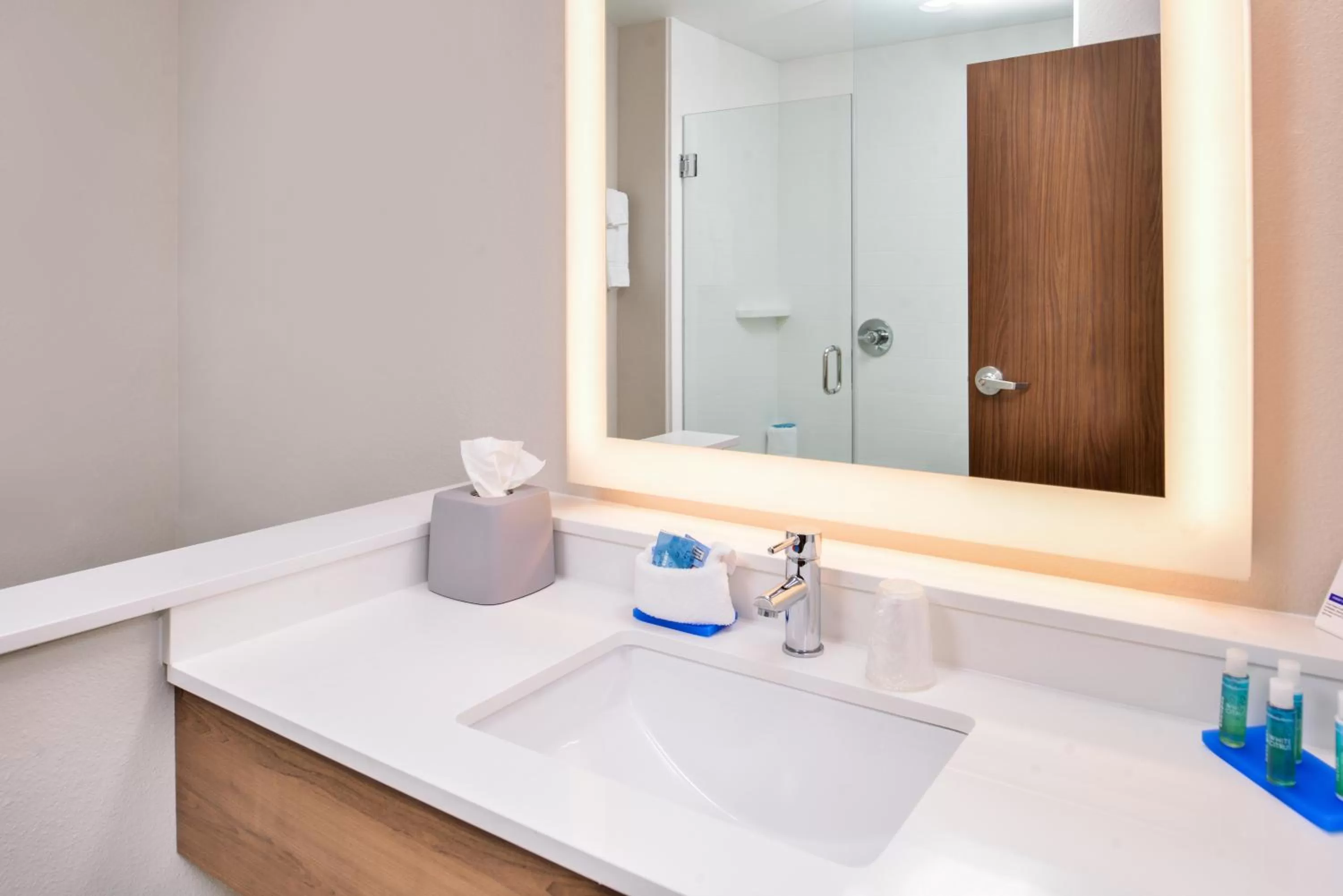 Bathroom in Holiday Inn Express & Suites - Siloam Springs by IHG