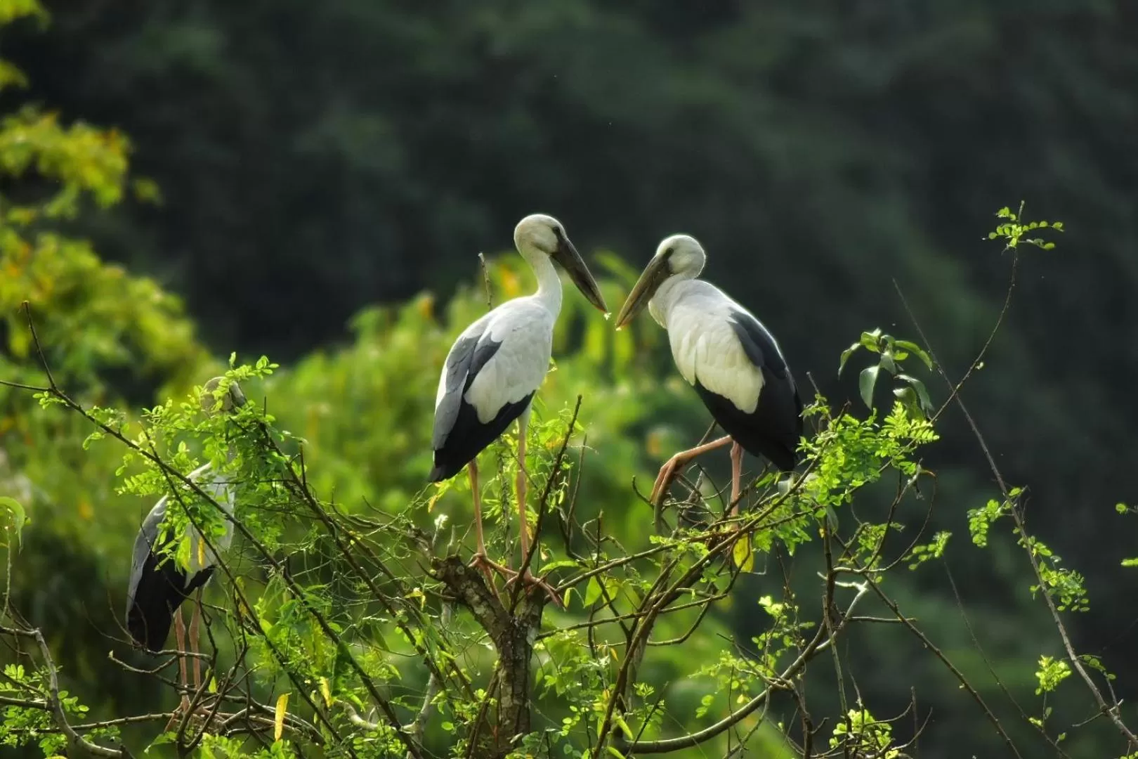 Natural landscape in Thung Nham Resort