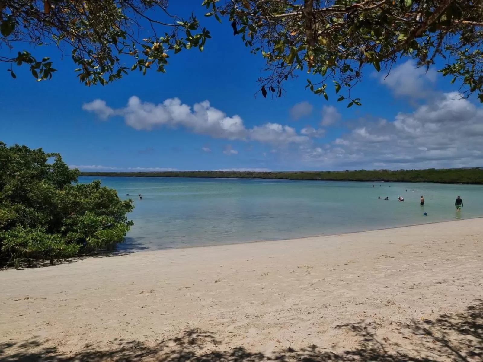 Beach in Patty House Galapagos