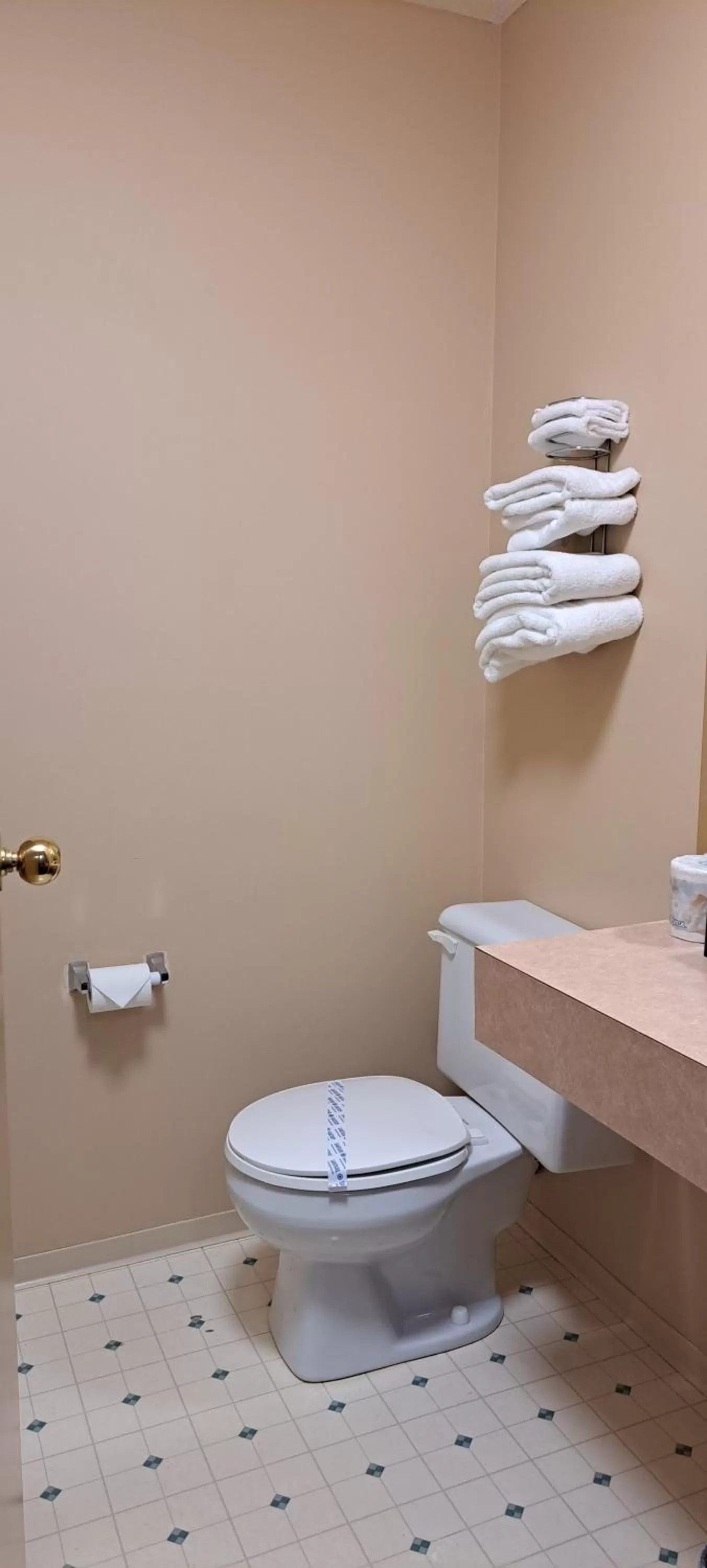 Bathroom in Travelodge by Wyndham Lacombe