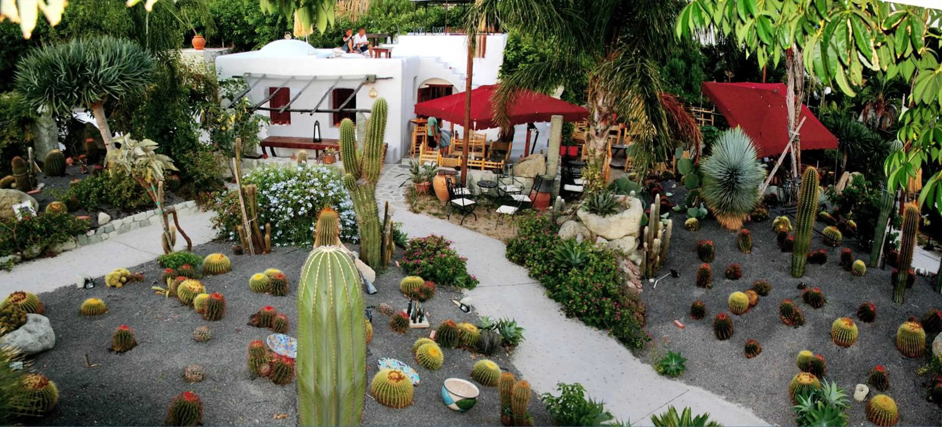 Garden in Villa Ravino Secret Retreat