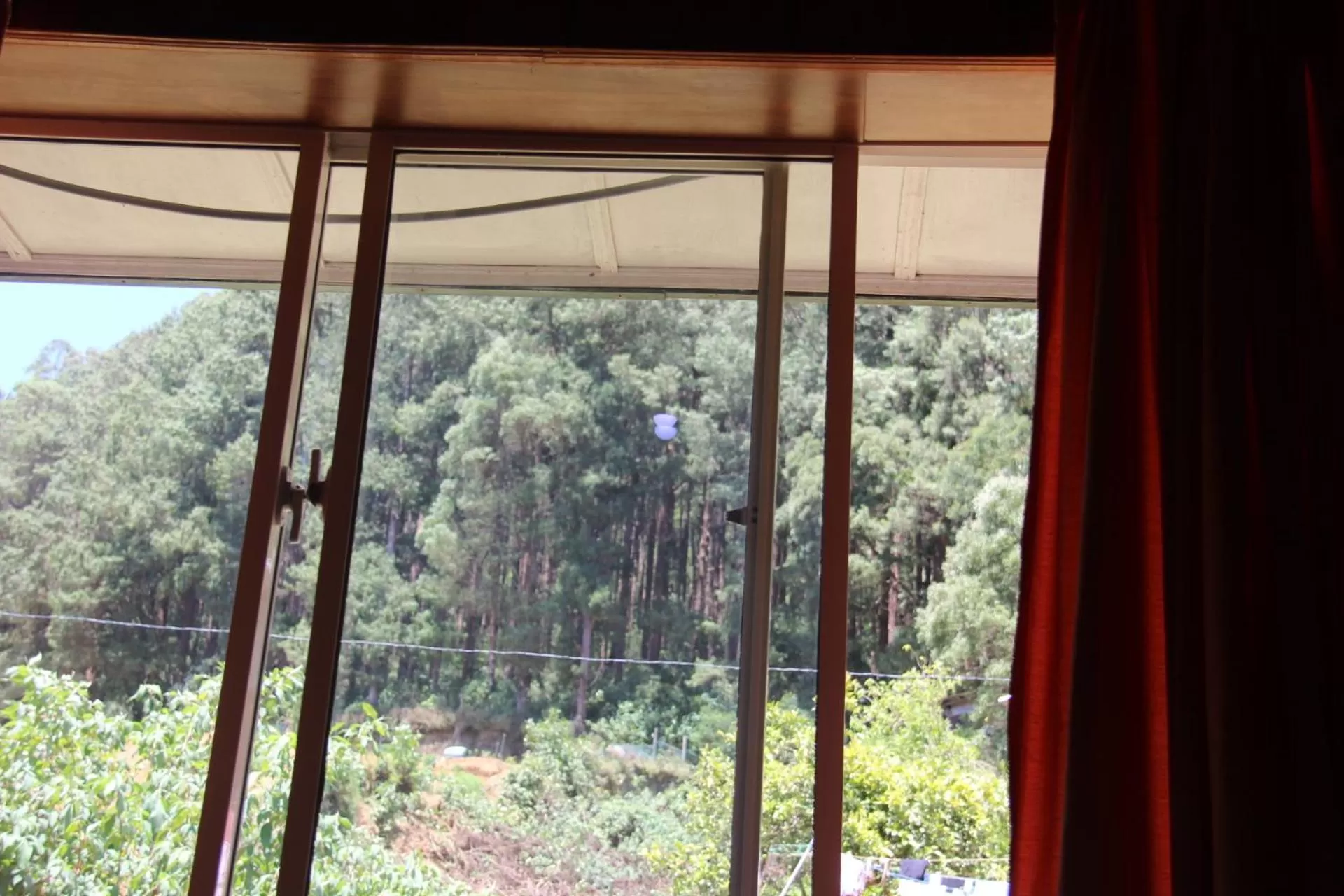 Day, View in Pigeons Nest