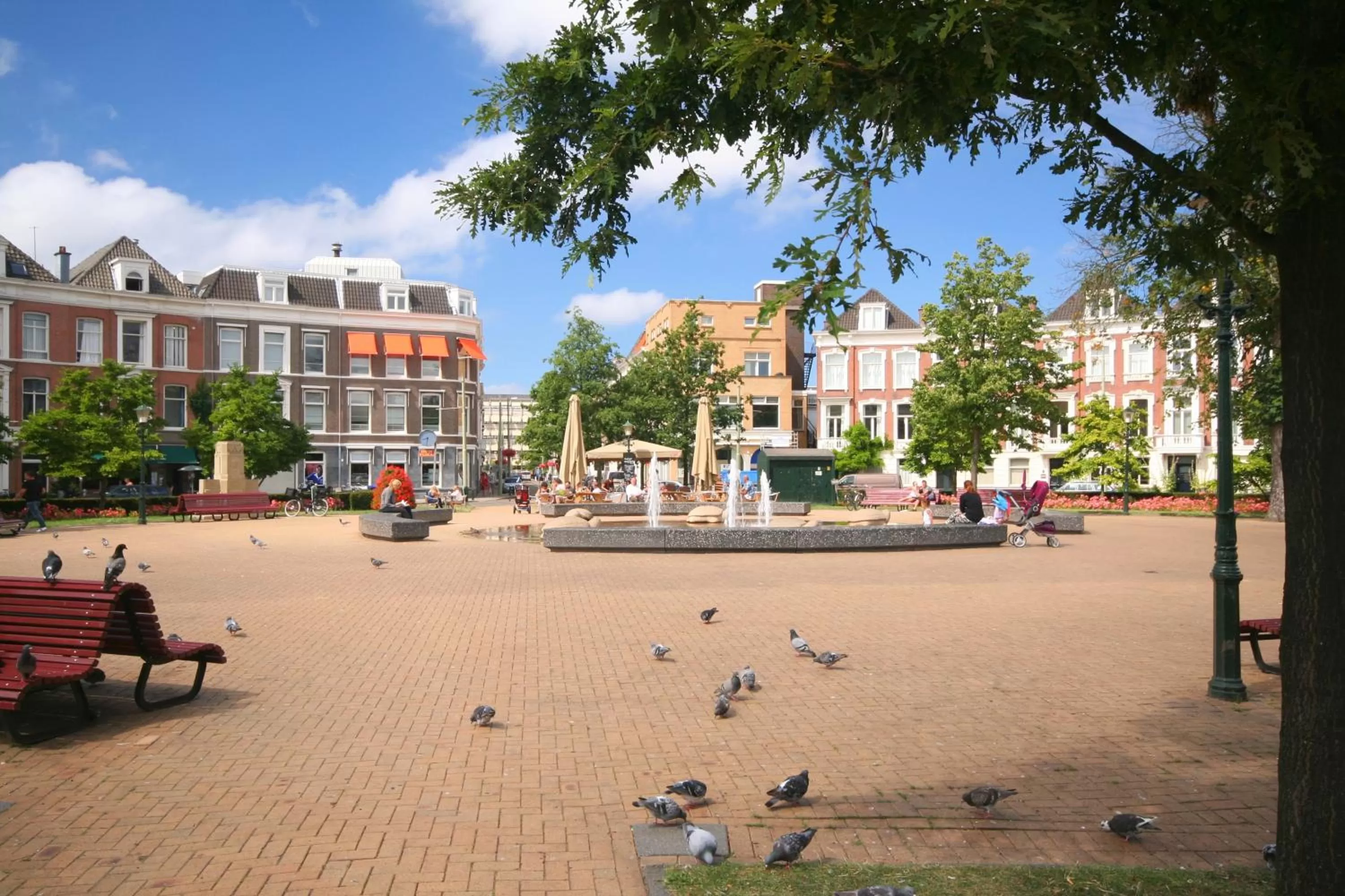 Area and facilities in Hotel Sebel