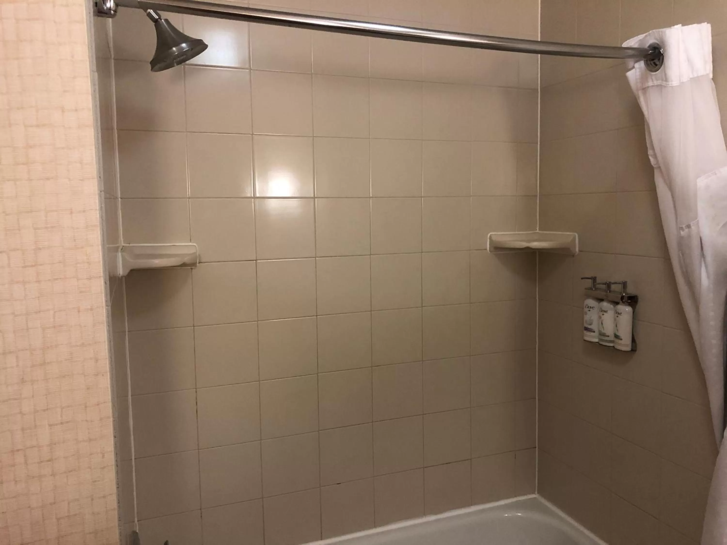 Shower in Holiday Inn Express Hotel & Suites Lansing-Dimondale by IHG