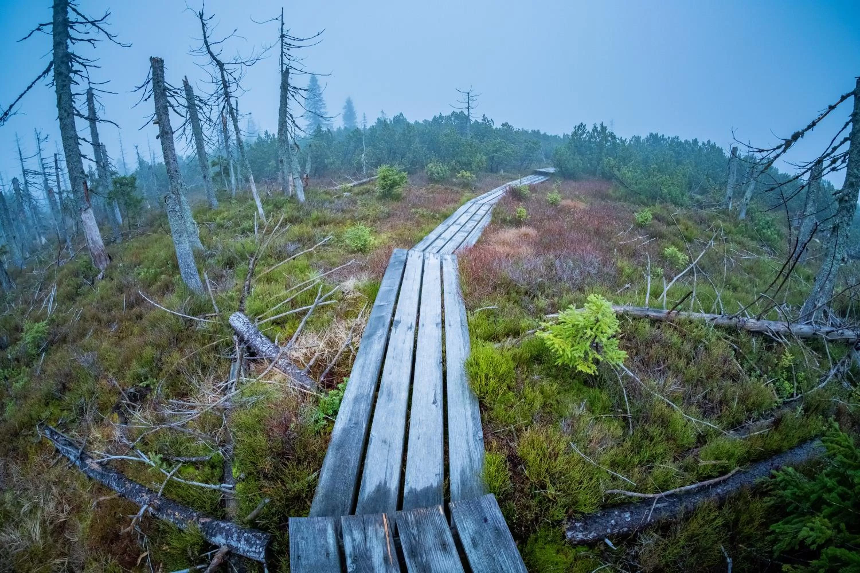 Nearby landmark in Hotel Lugsteinhof