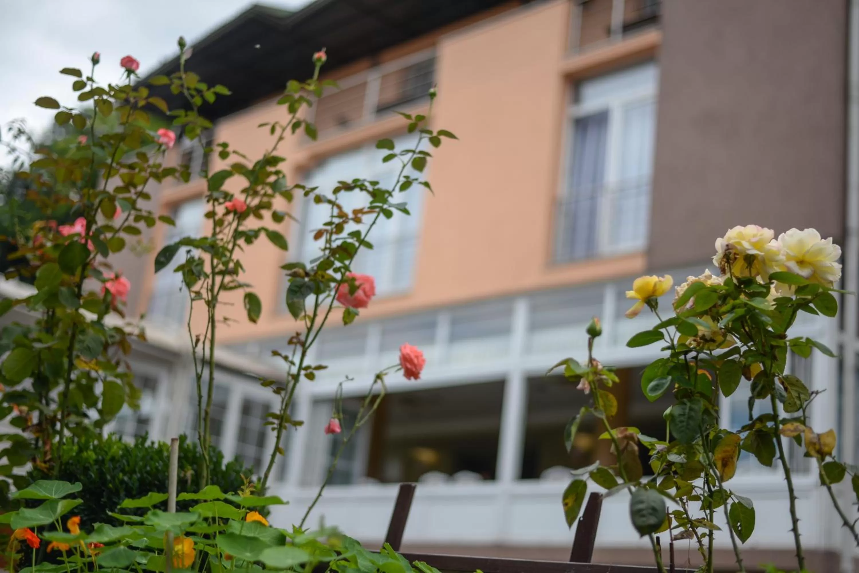 Property building in Hotel Fontana