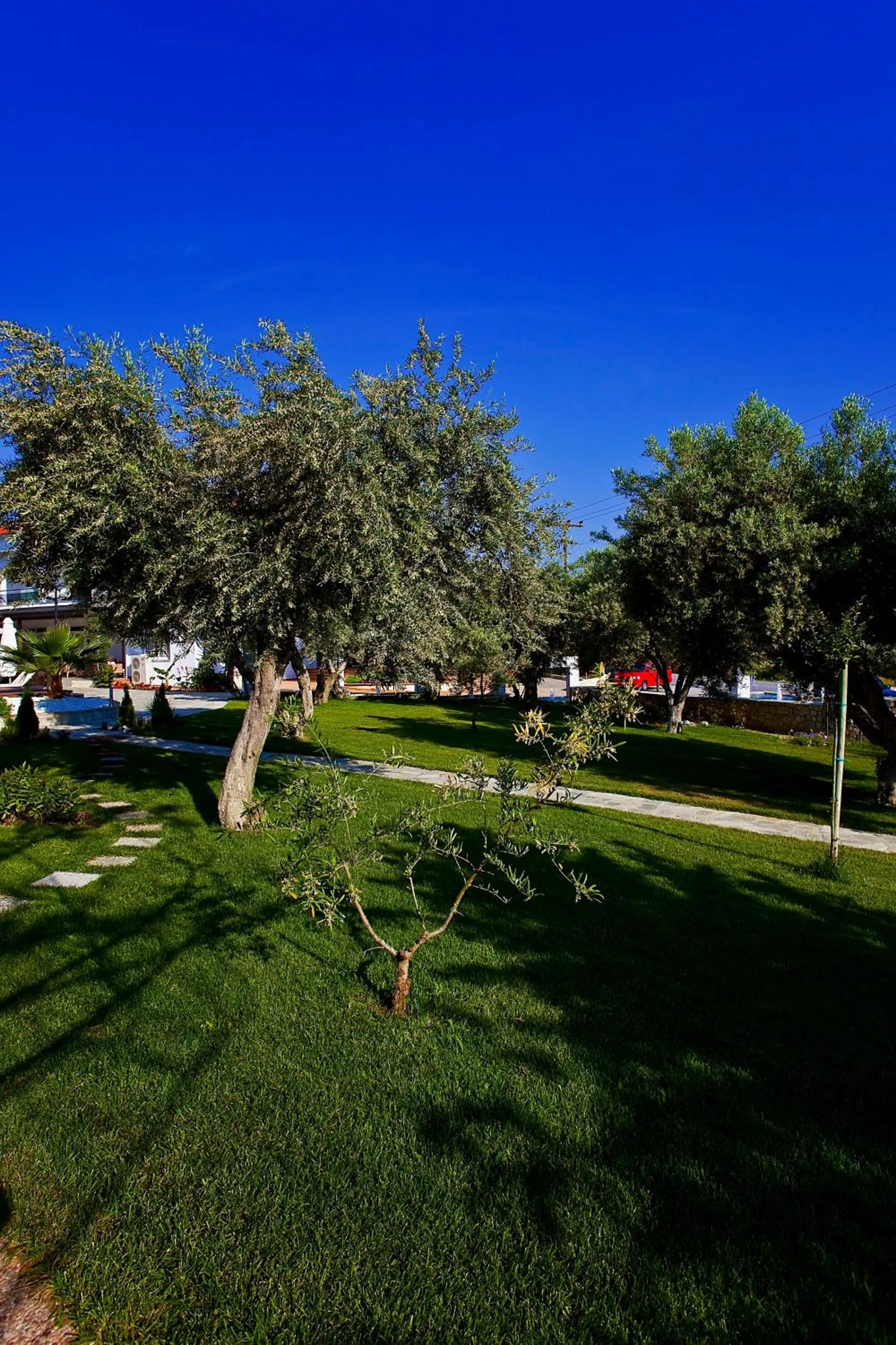 Garden in Flegra Palace