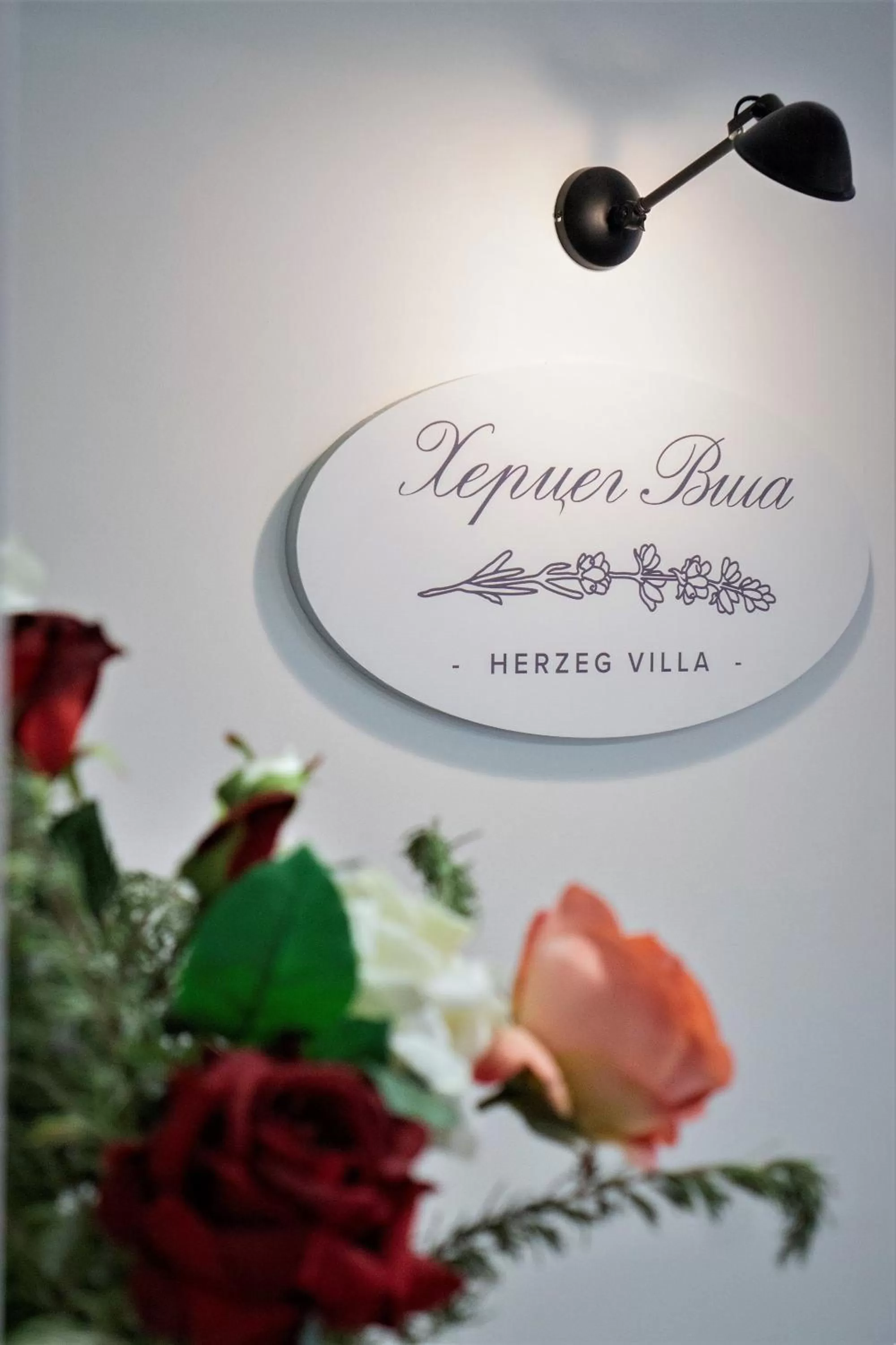 Property logo or sign in Herceg Vila