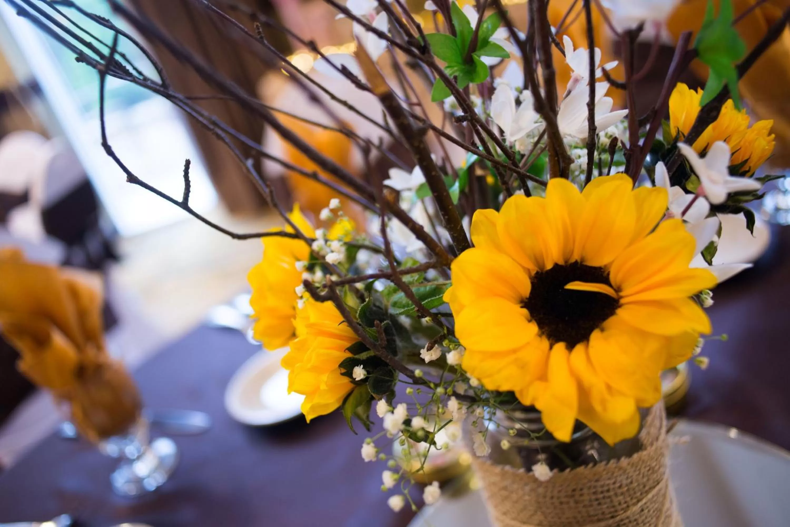 Meeting/conference room in Holiday Inn San Antonio Northwest- SeaWorld Area by IHG