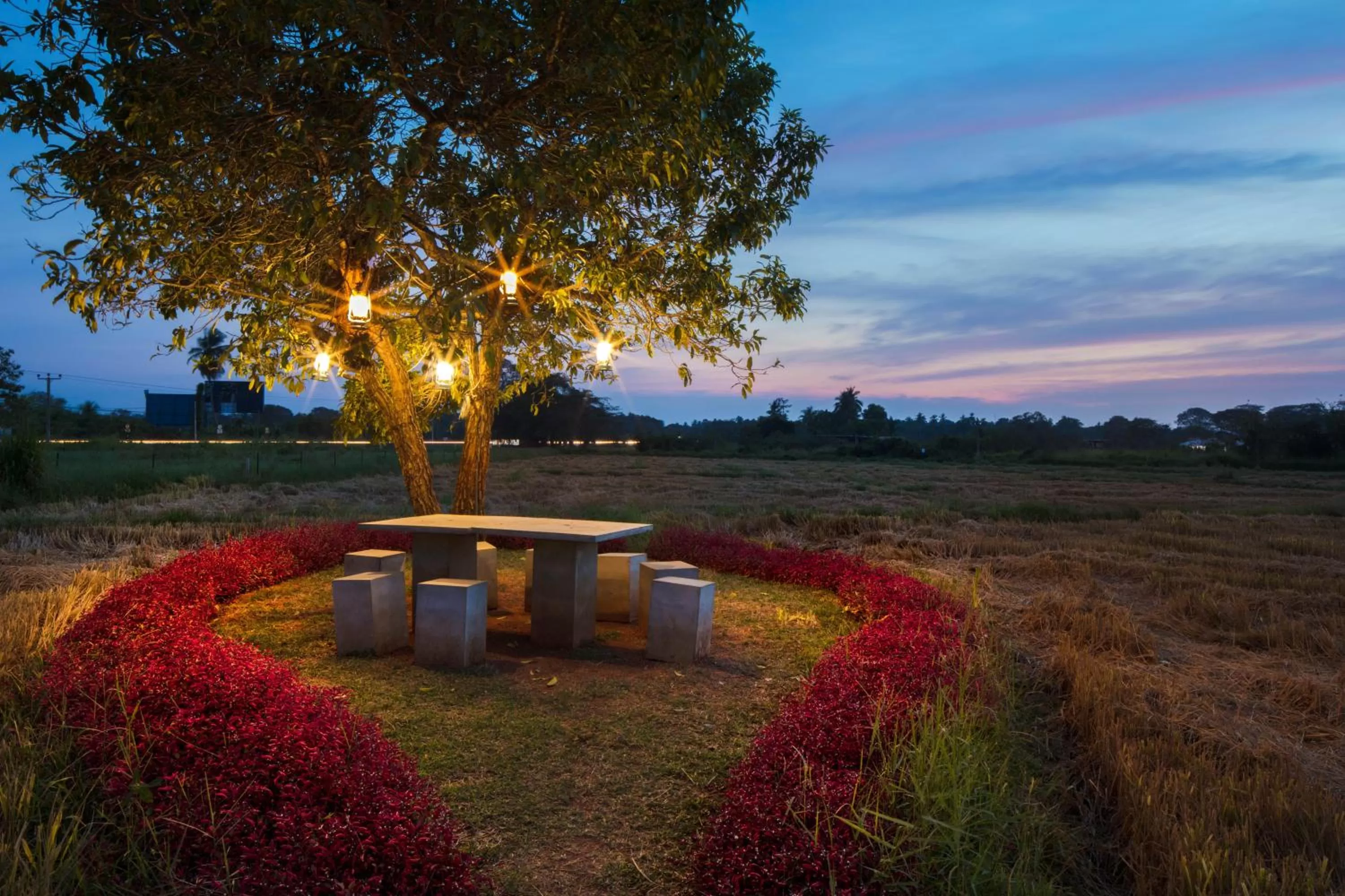 Garden in Kubura Resort