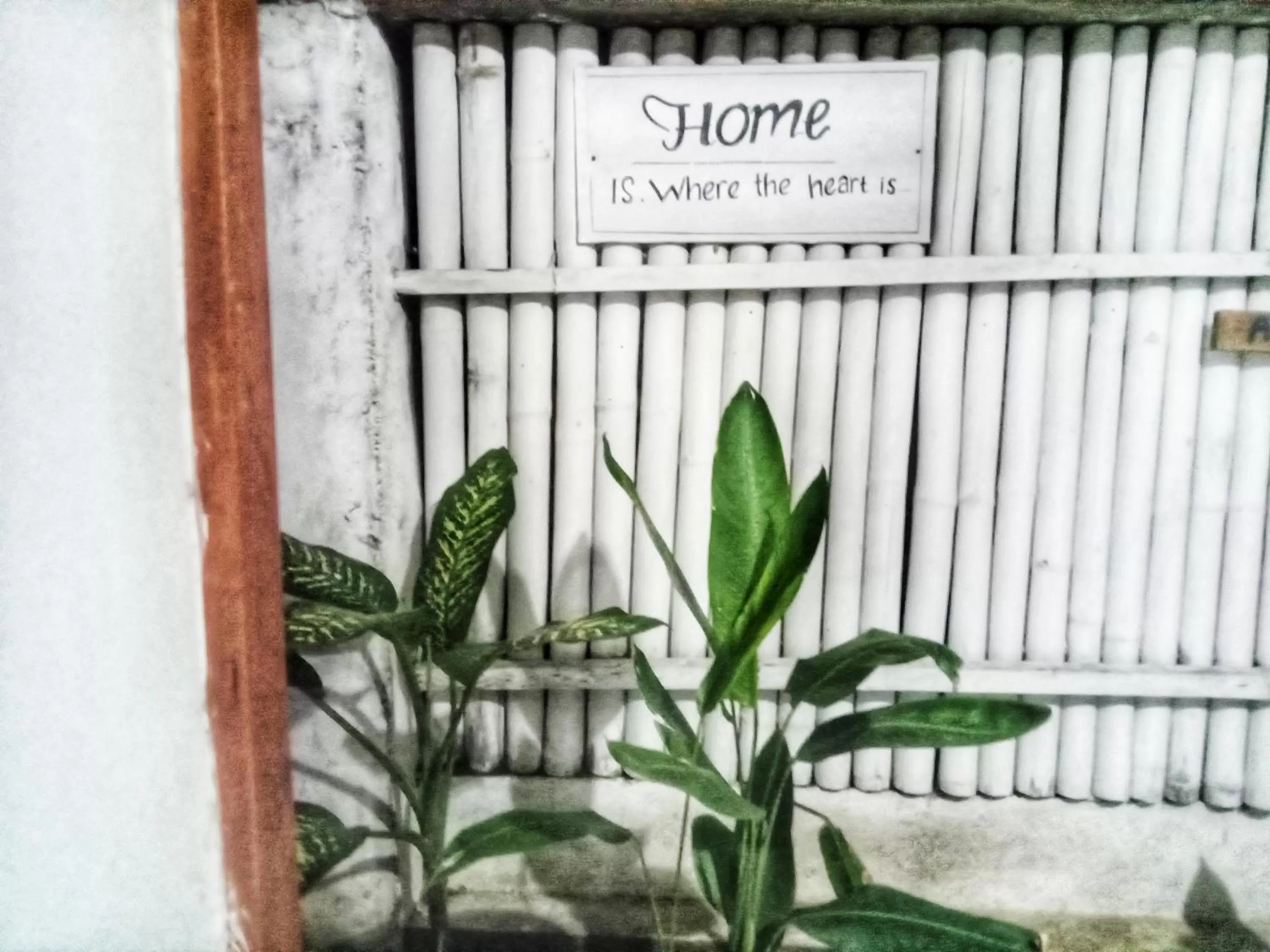 Breakfast in Uki village bungalows