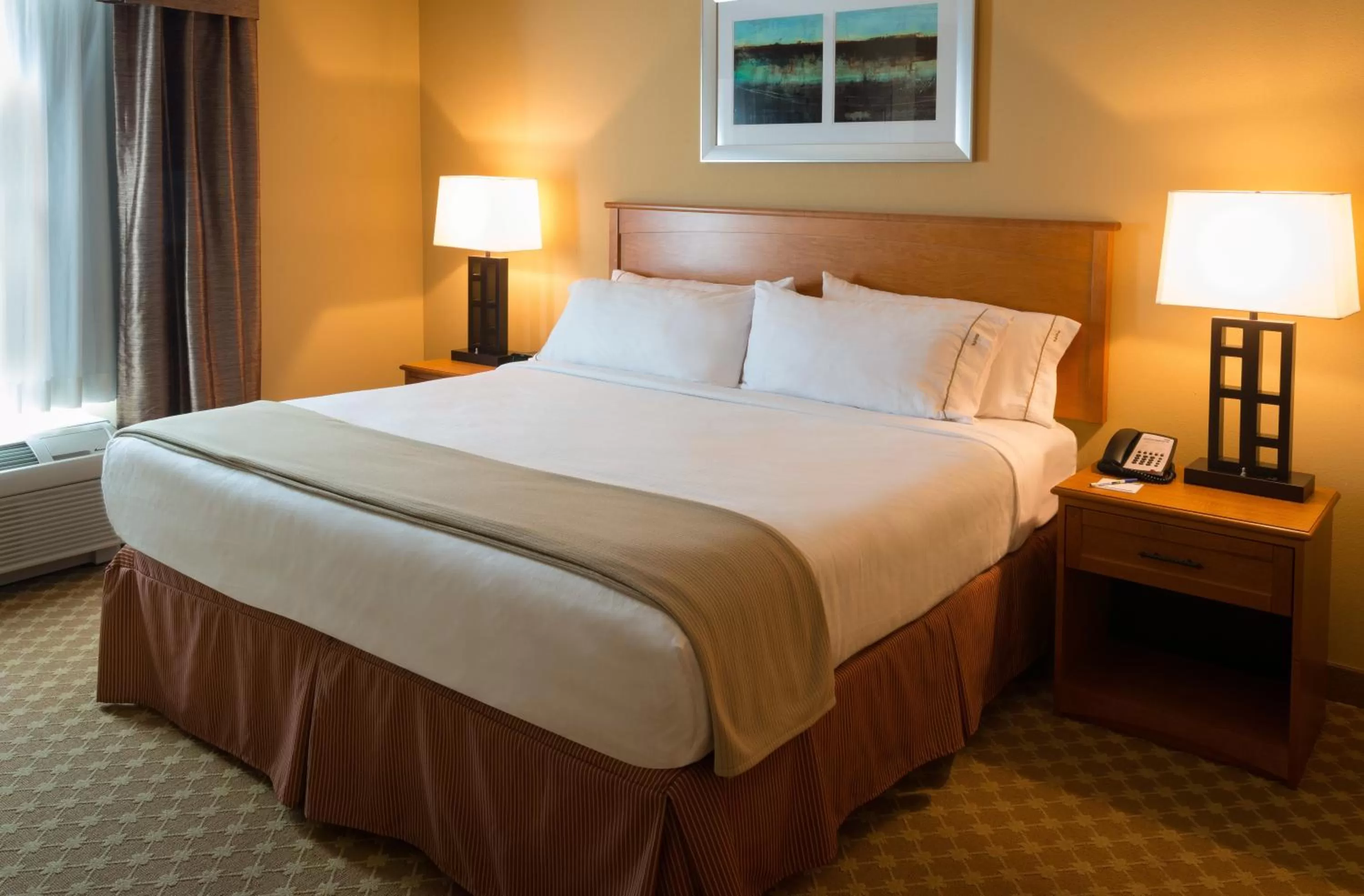 King Room in Holiday Inn Express Hotel & Suites Chicago West Roselle, an IHG Hotel