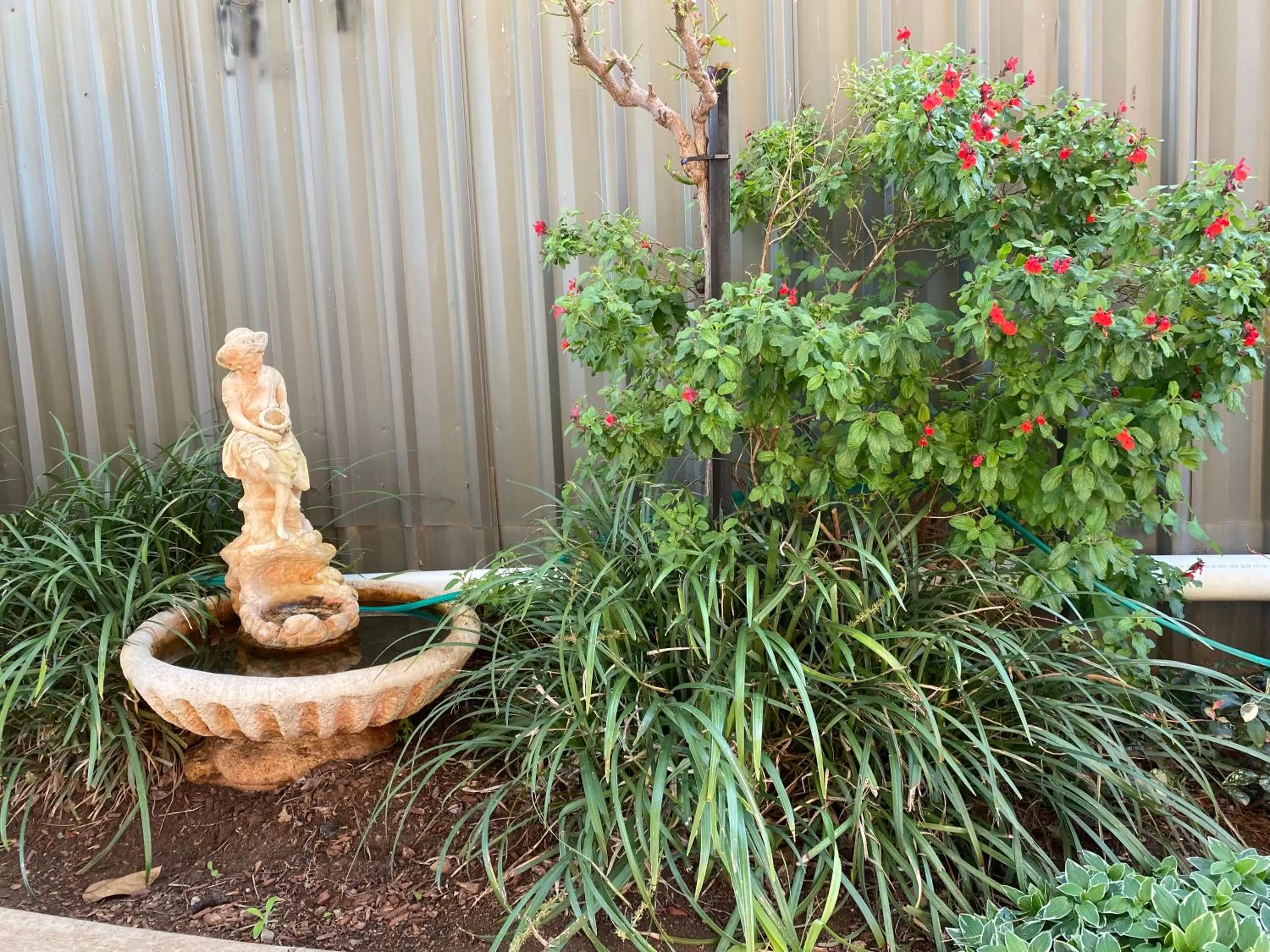 Garden in All Settlers Motor Inn Parkes