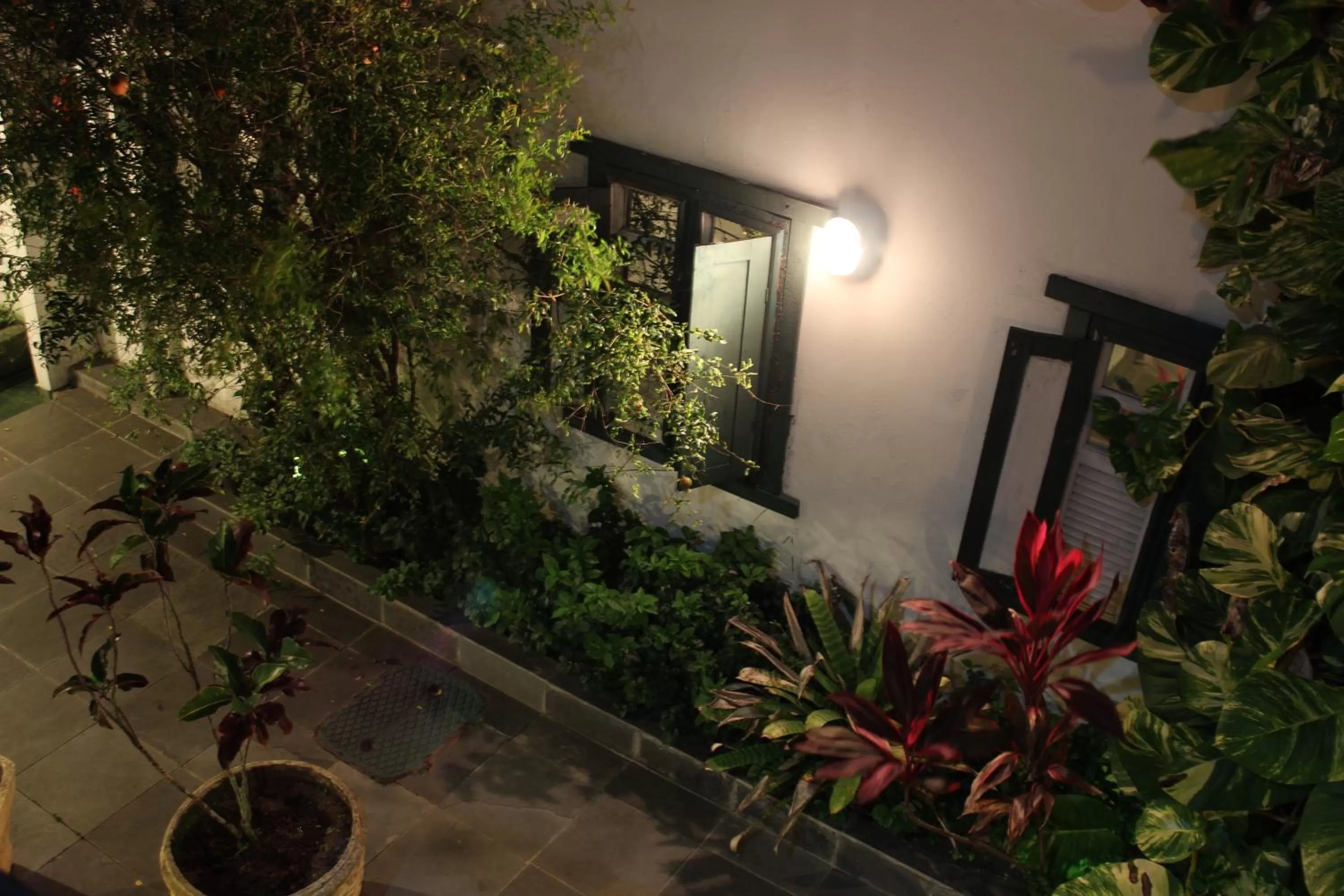 Garden in Pousada Canteiros