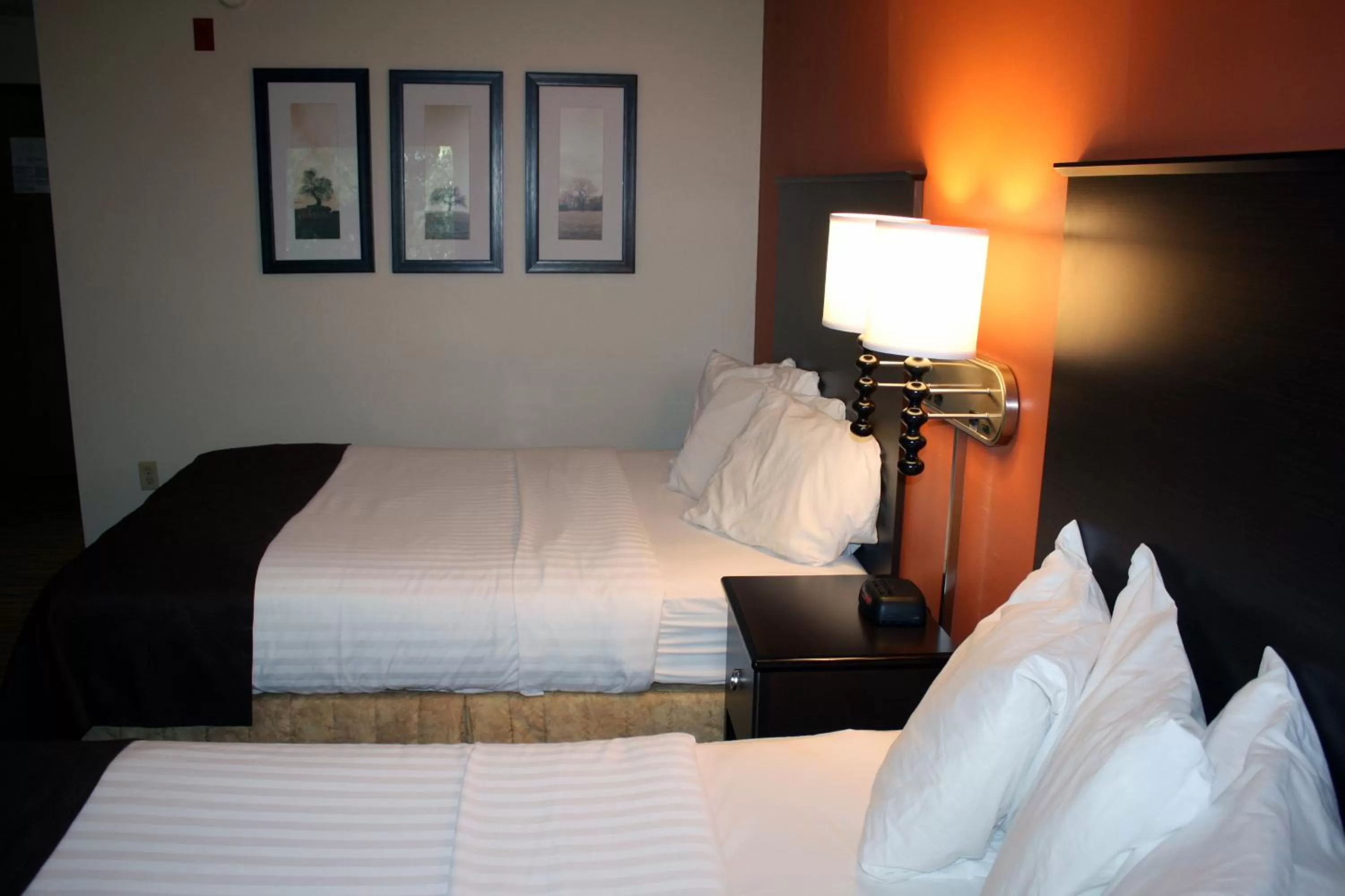 Bed in AmericInn by Wyndham Rogers