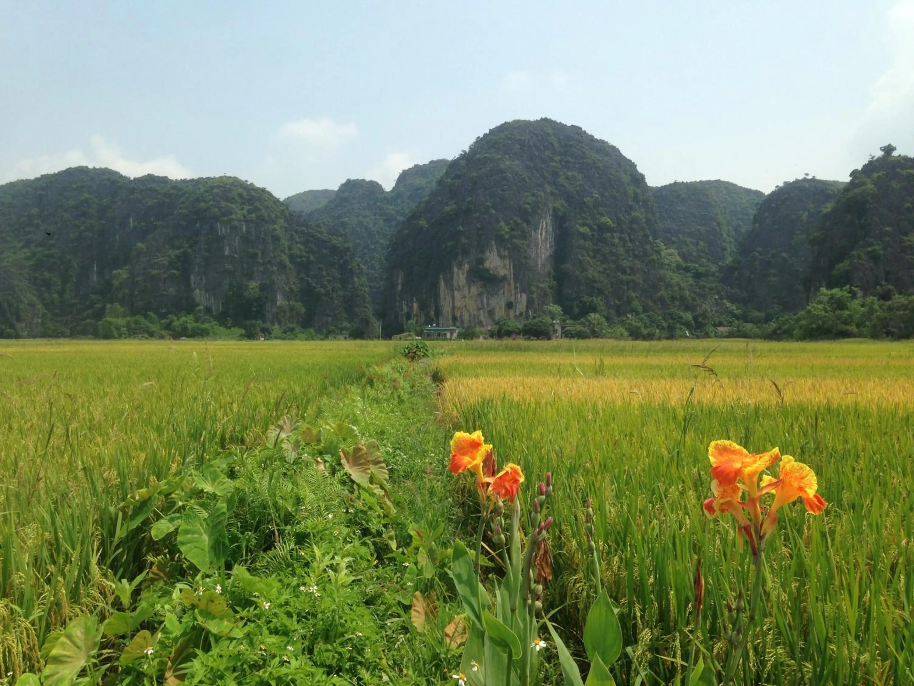 Natural Landscape in Tam Coc Mountain View Homestay