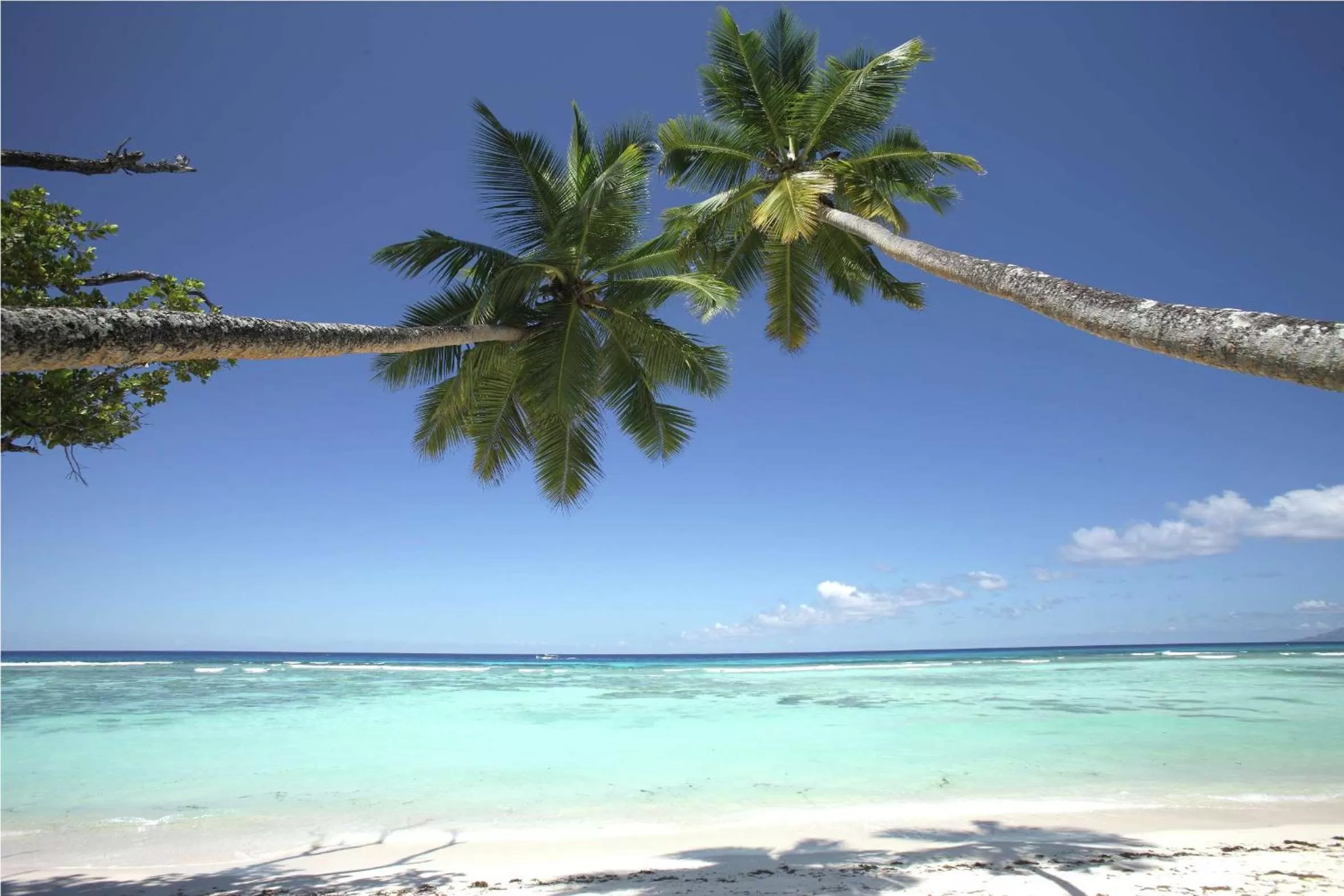 Property building in Hilton Seychelles Labriz Resort & Spa