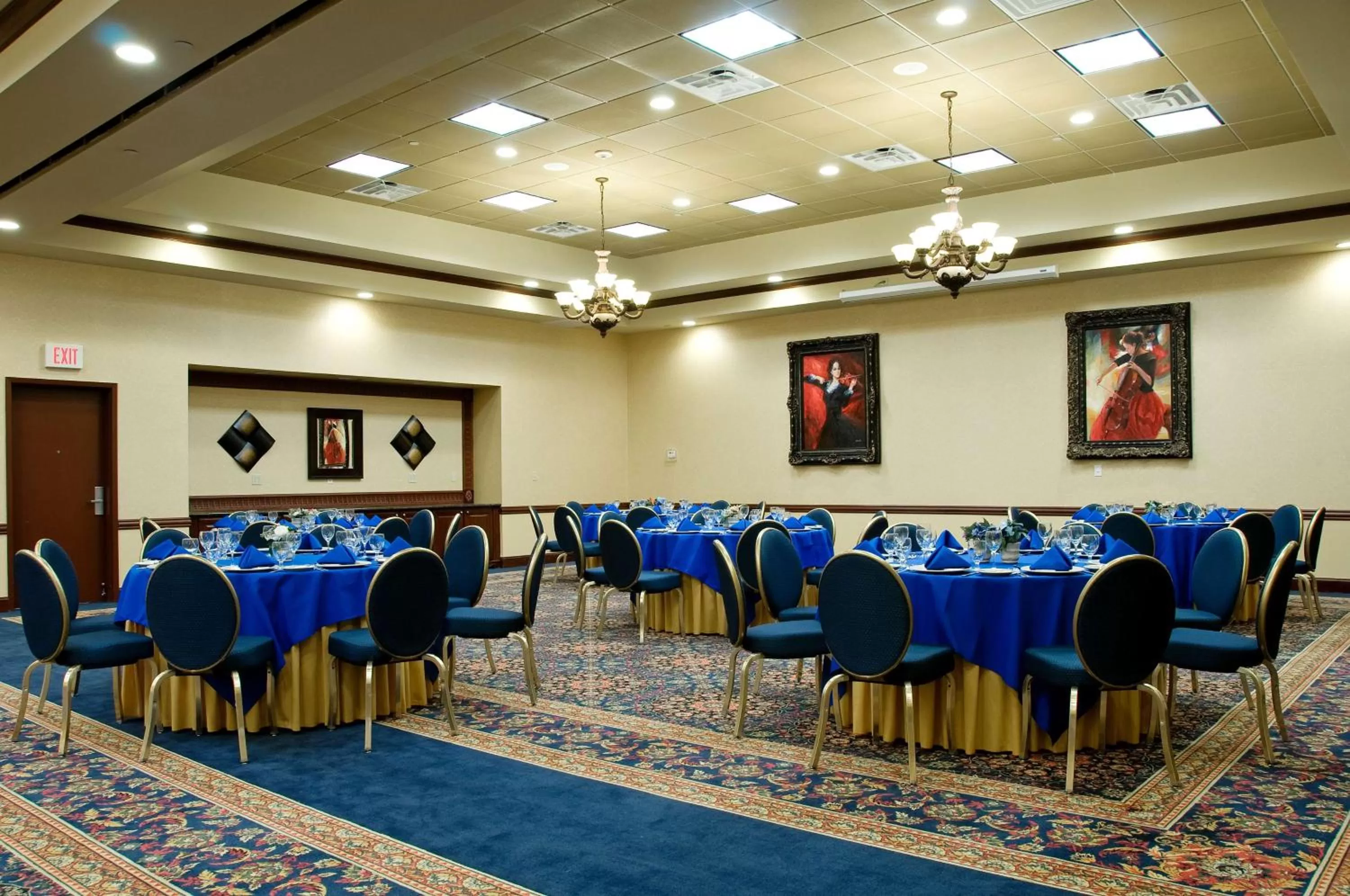Meeting/conference room in Hilton Garden Inn Amarillo