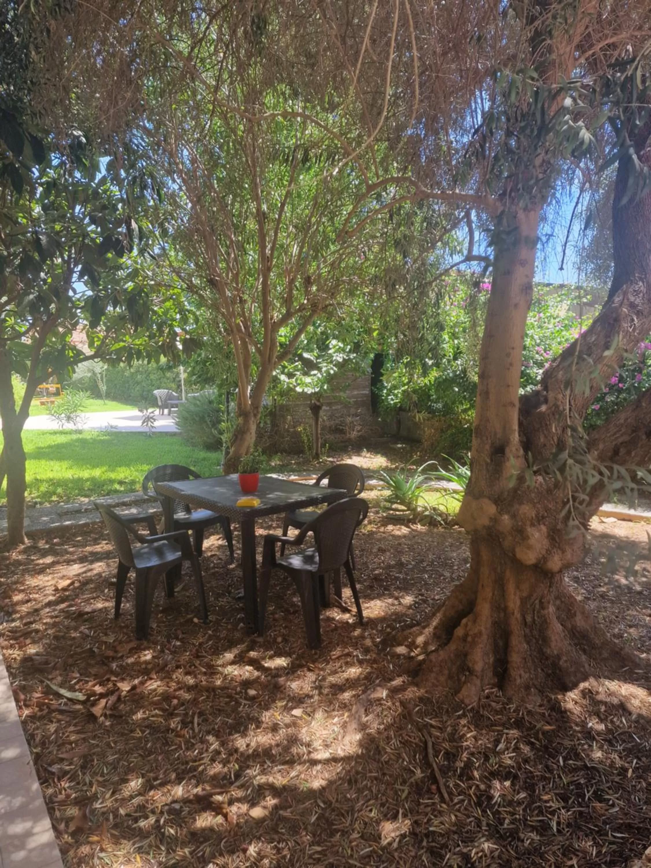 Garden view in Le Case Al Quadrato Residence