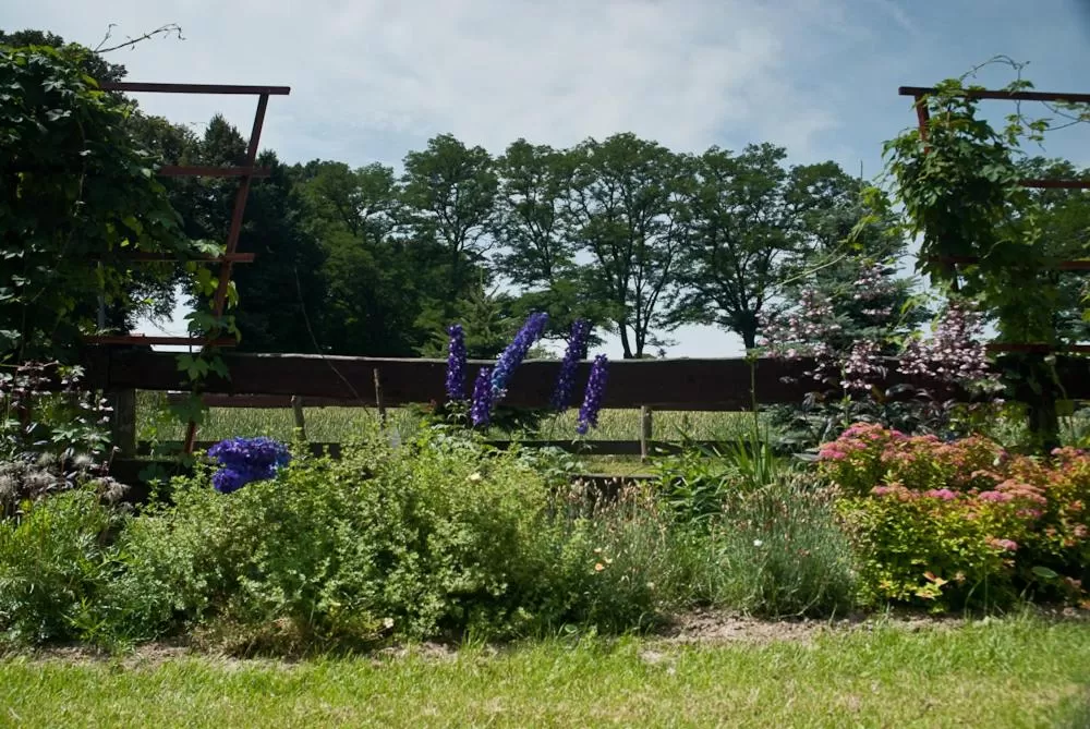 Garden in Gospoda Pazibroda