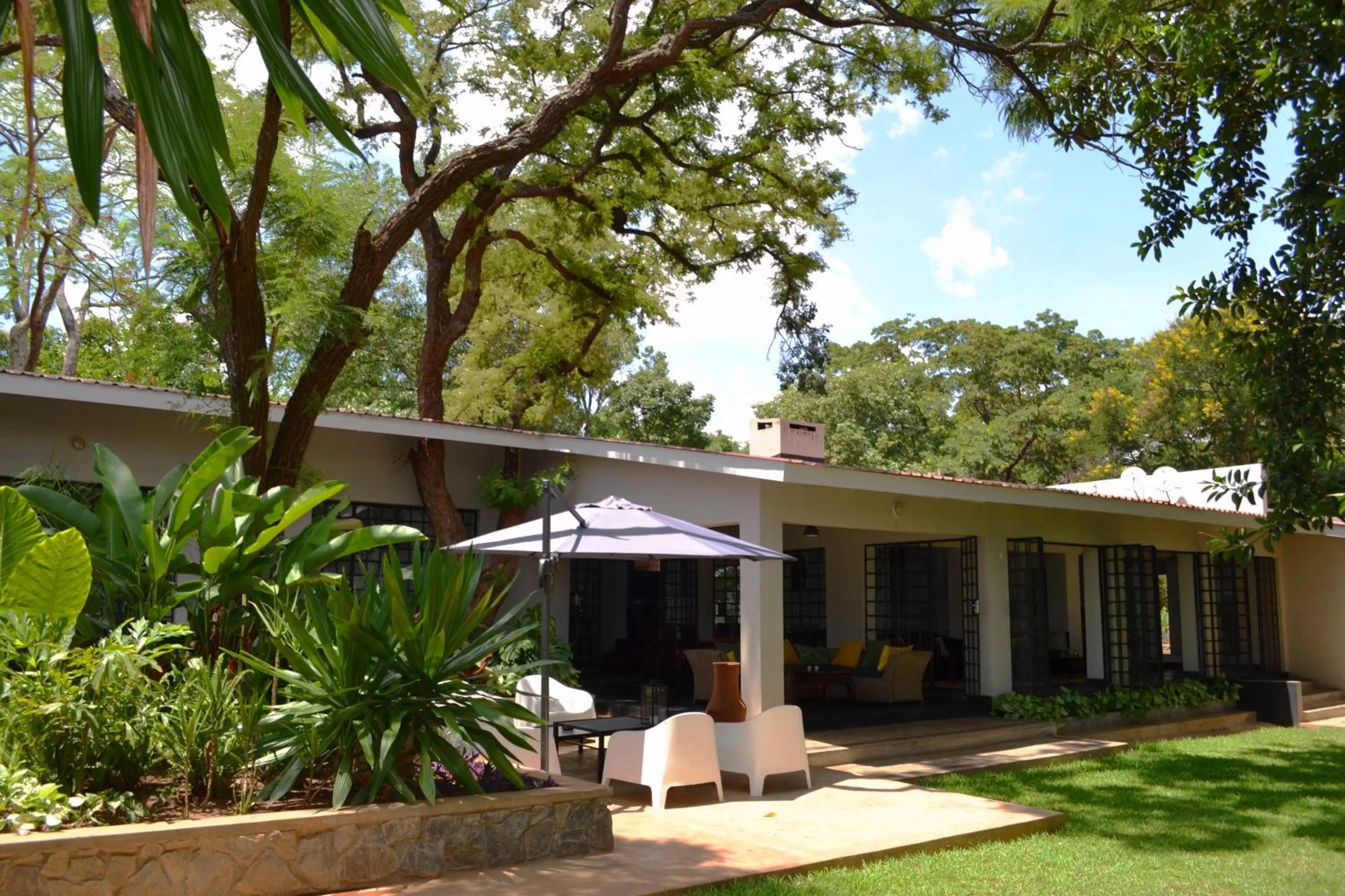 Garden, Property Building in Mitengo House