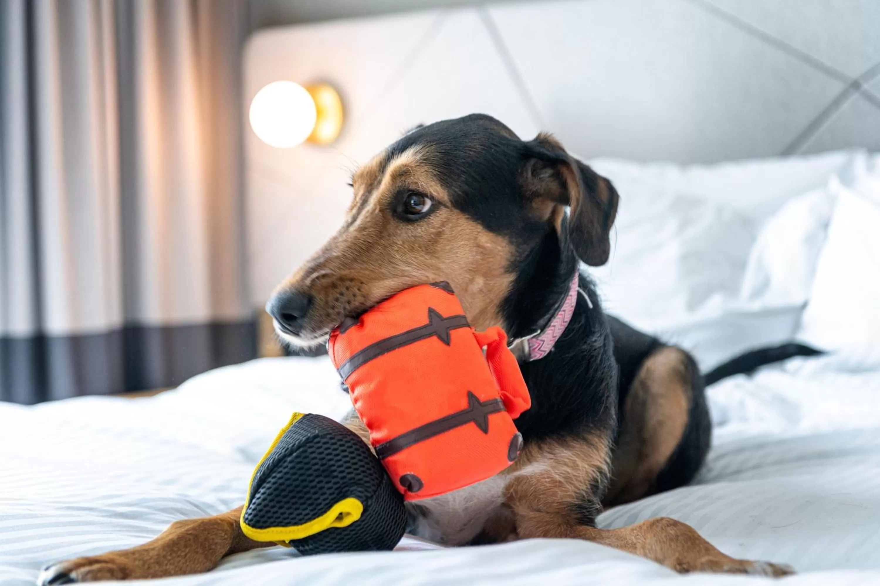 Other in Residence Inn by Marriott Slough