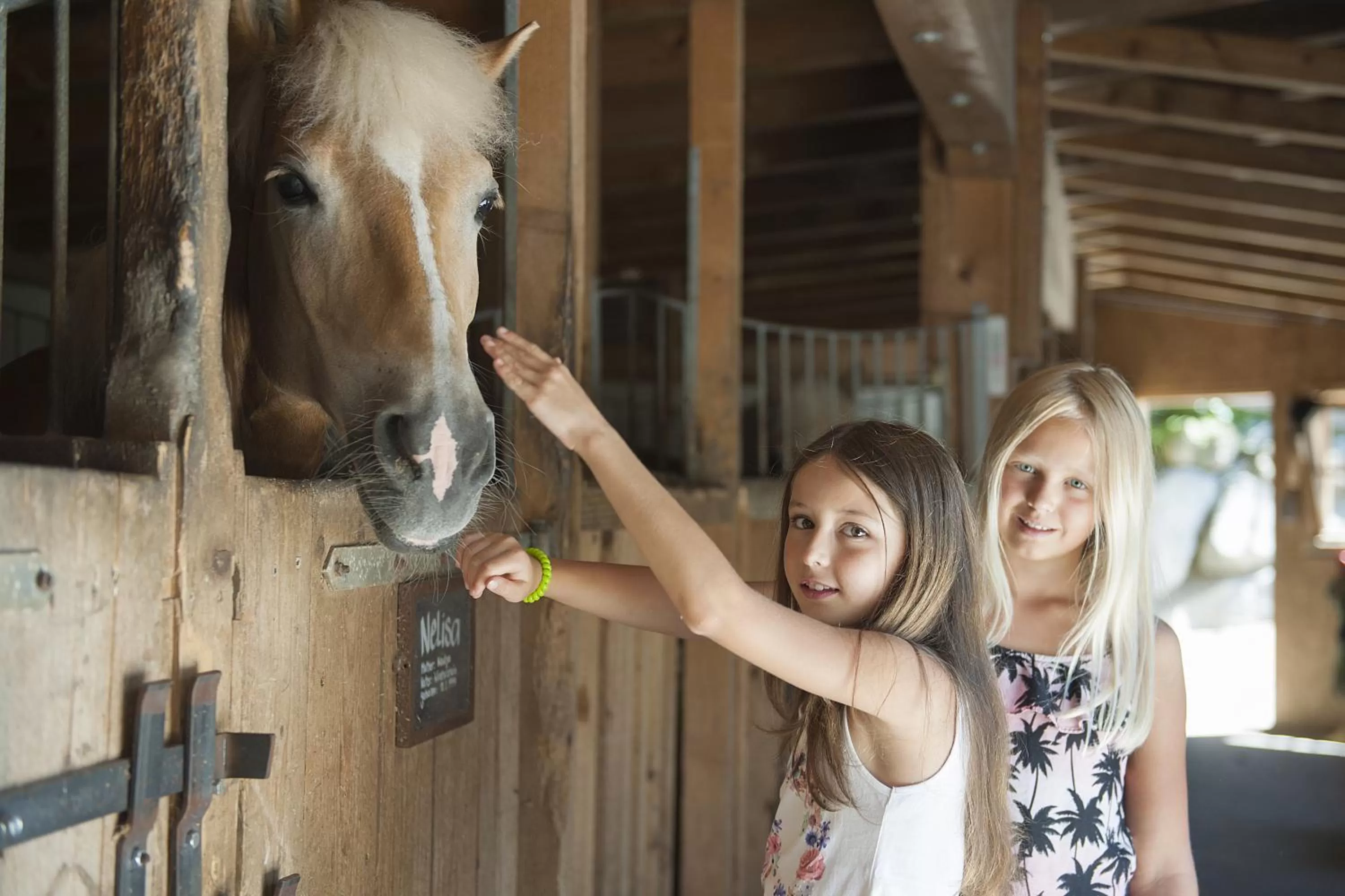 Horse-riding in Familienparadies Sporthotel Achensee - FAMILIES ONLY
