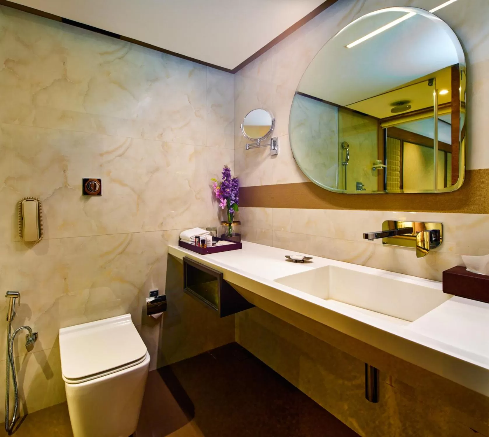 Bathroom in Sayaji Indore