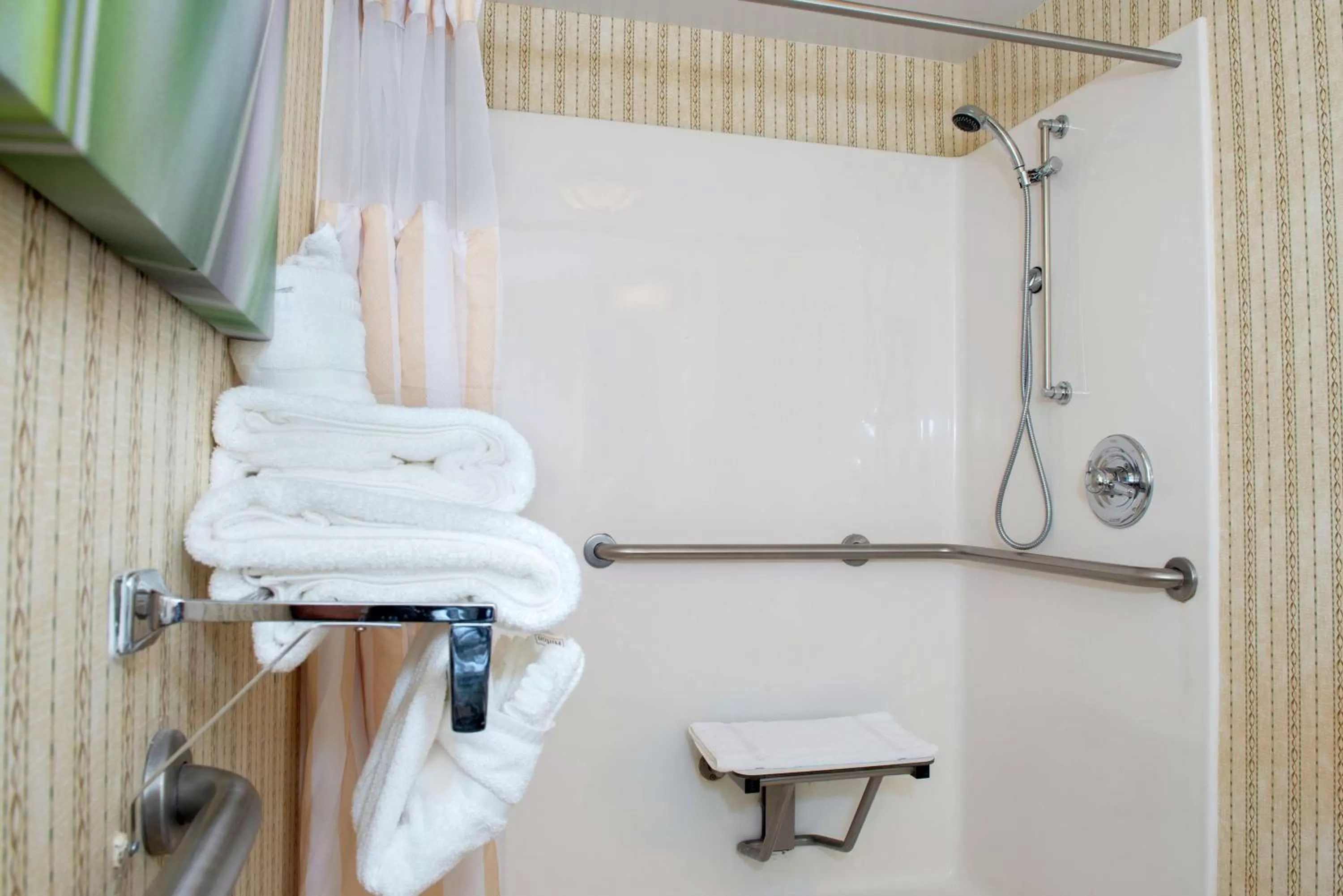 Bathroom in Hilton Garden Inn Charlotte Pineville