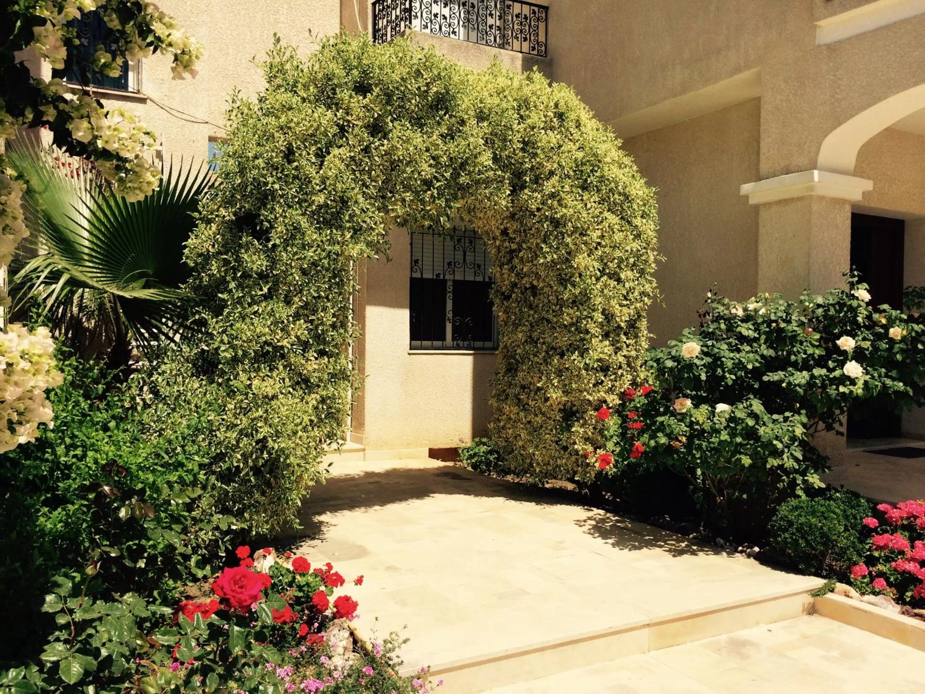 Patio in Dar Khereddine