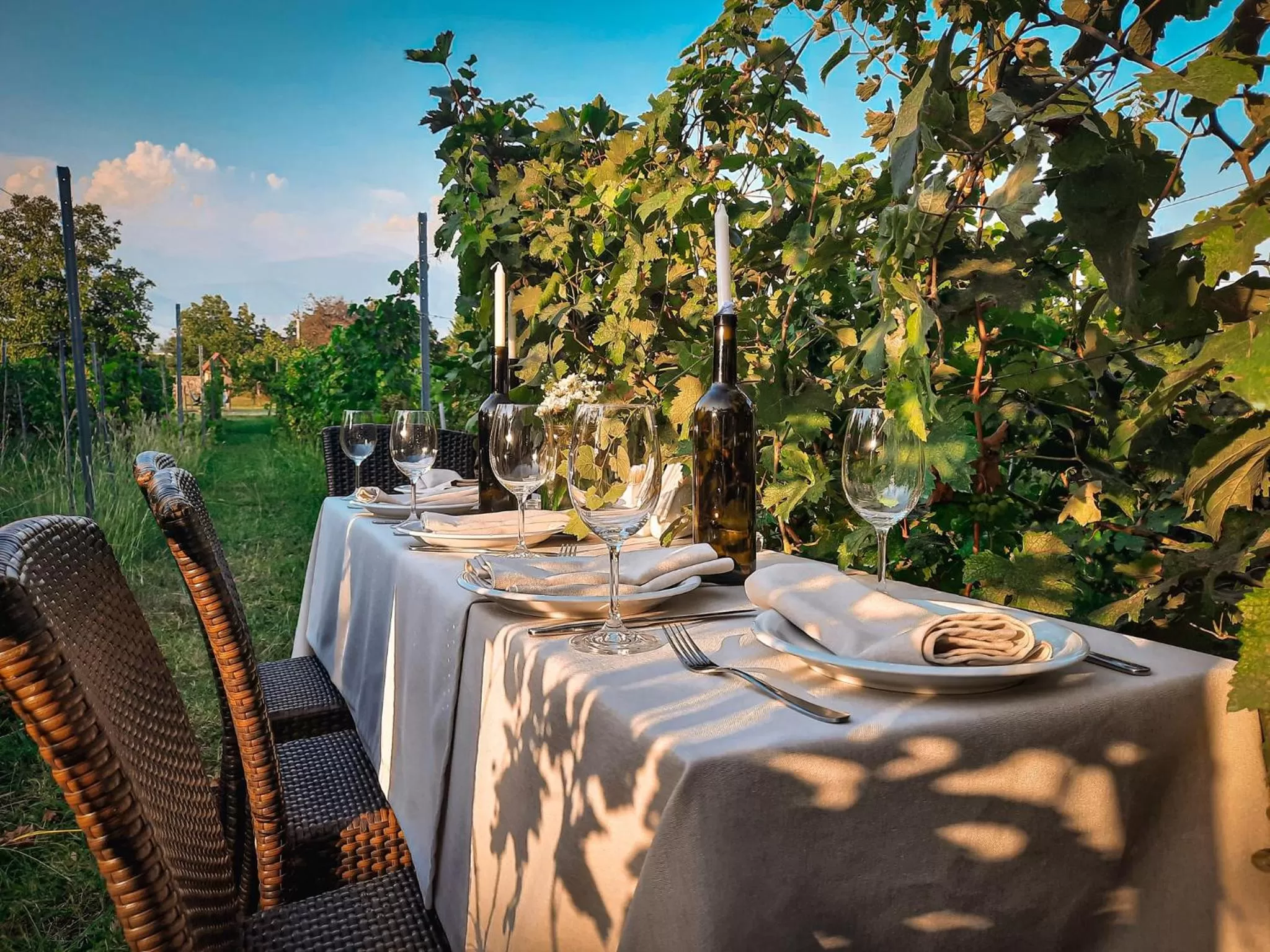 Dining area in Schuchmann Wines Château,Villas & SPA