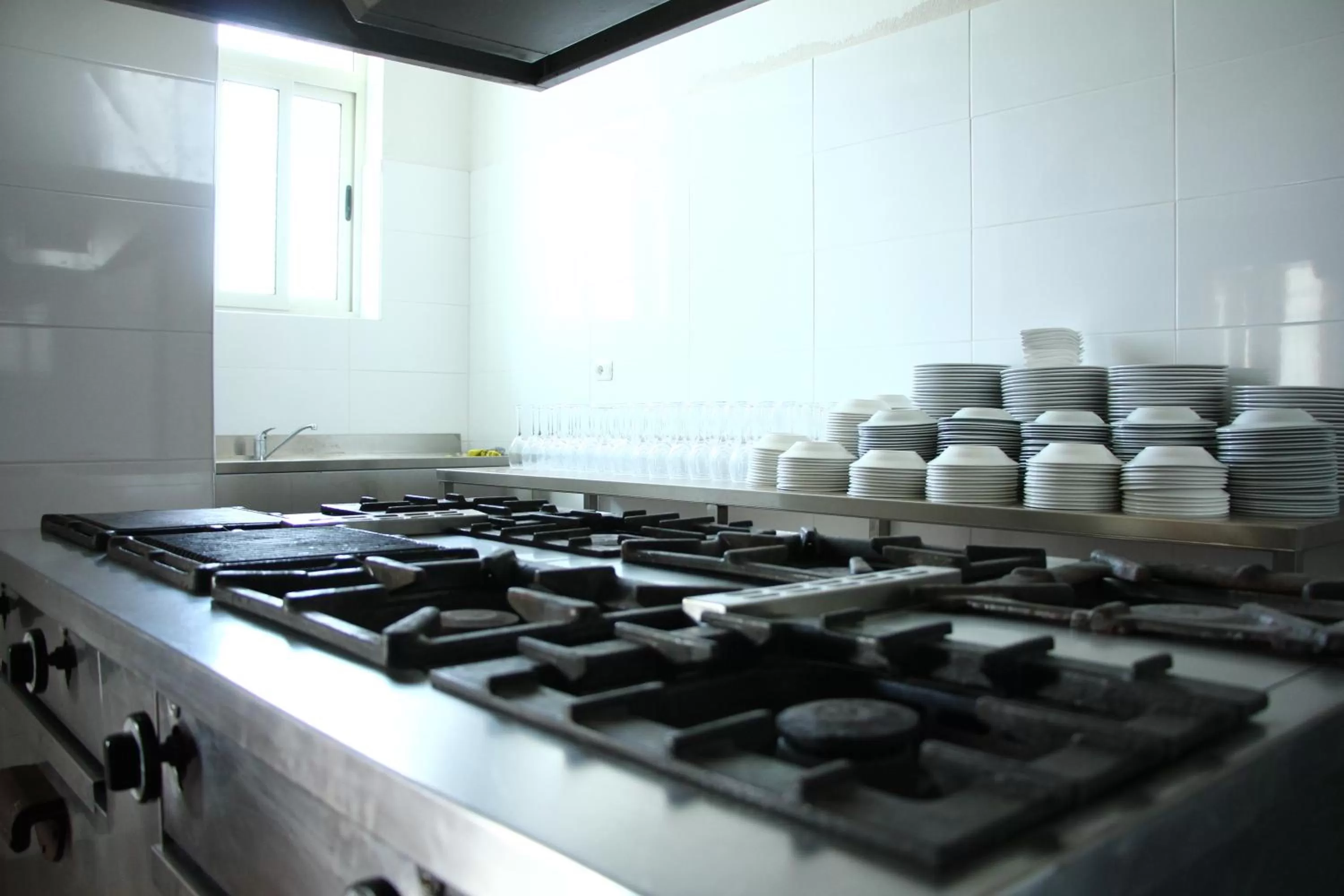 Restaurant/places to eat, Kitchen/Kitchenette in Hotel Vila Giorgio