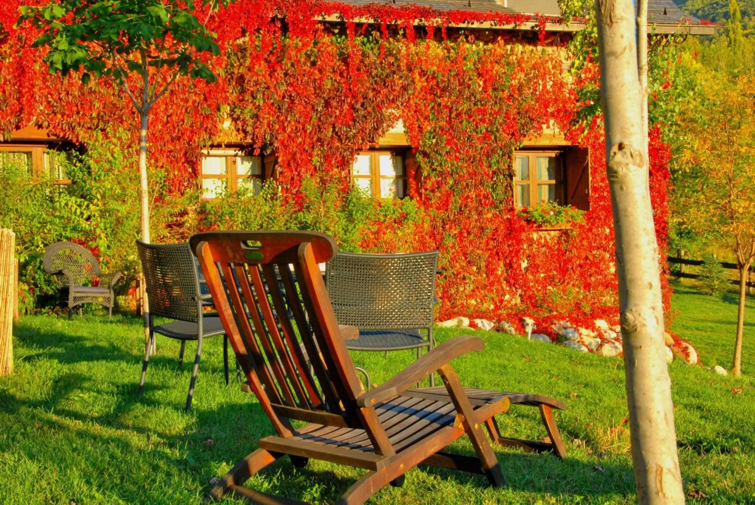 Garden in Hotel Selba d'Ansils