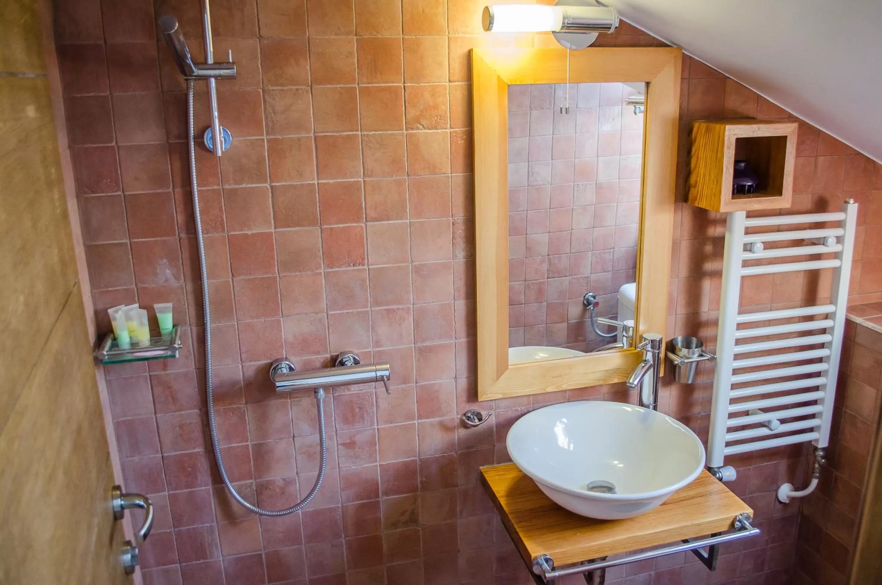Shower, Bathroom in Hotel Prizreni