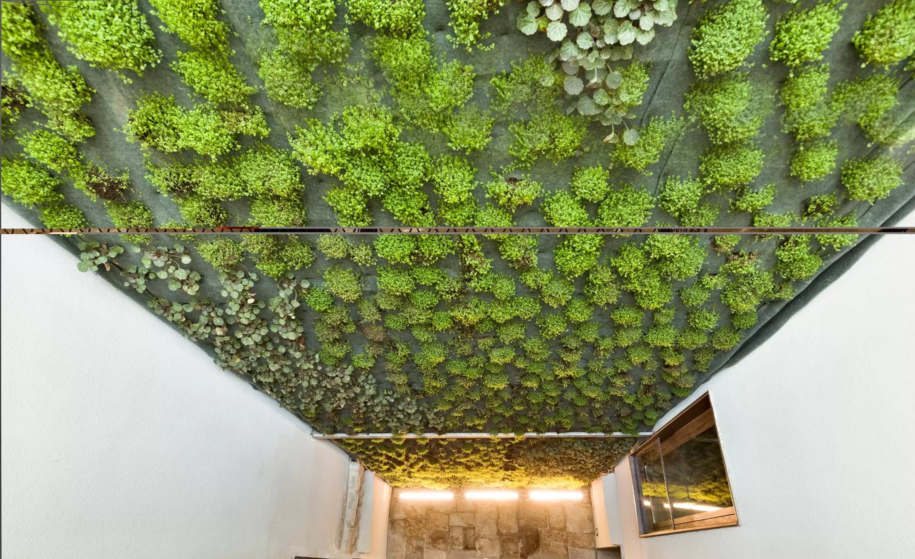Balcony/Terrace in Palazzo Calò